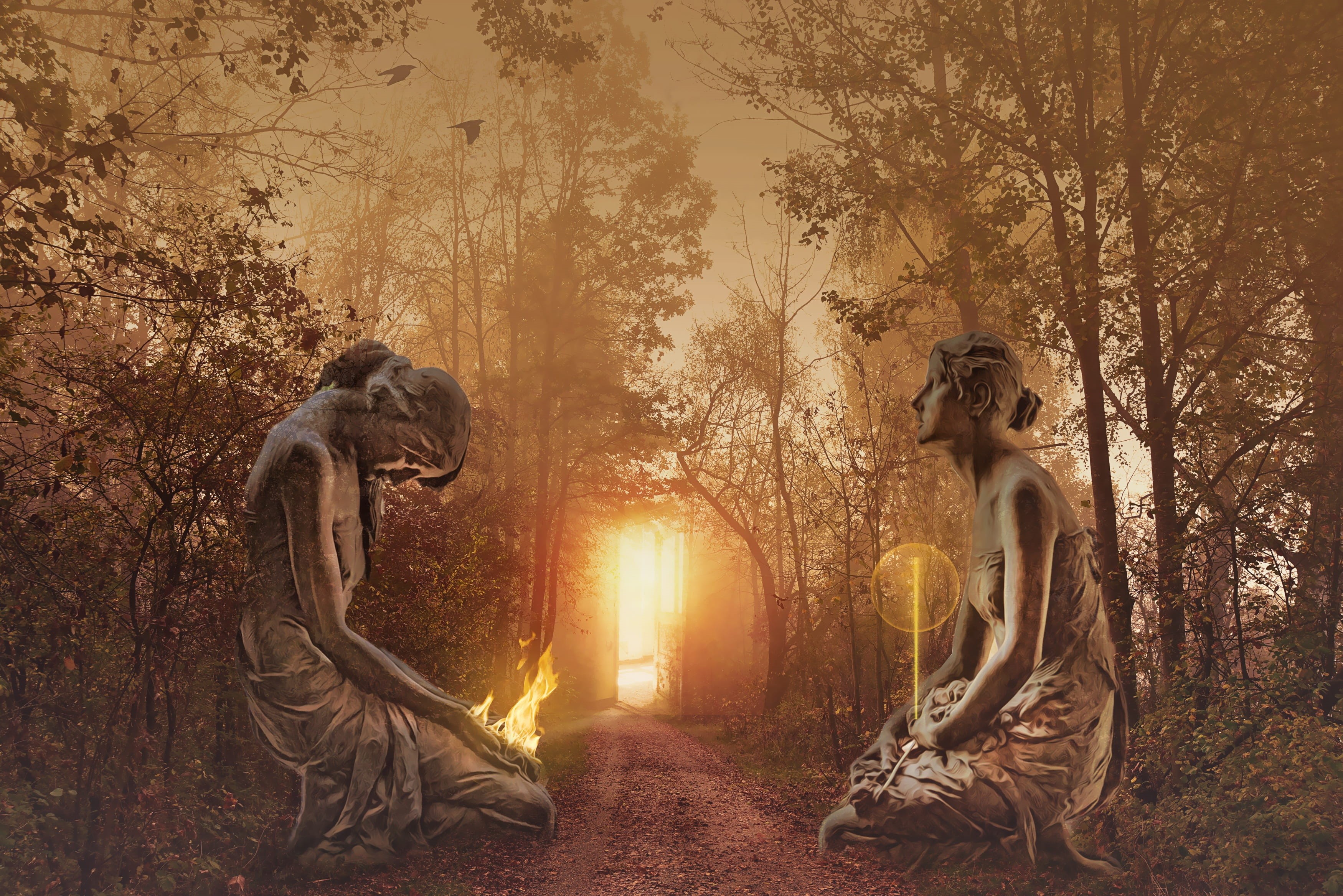 sunlight, dream, energy, plant, grave, photoshop, no people, 2K, tree, sun, fantasy landscape, nature, mystery, art and craft, fantasy, human representation, HD Wallpaper