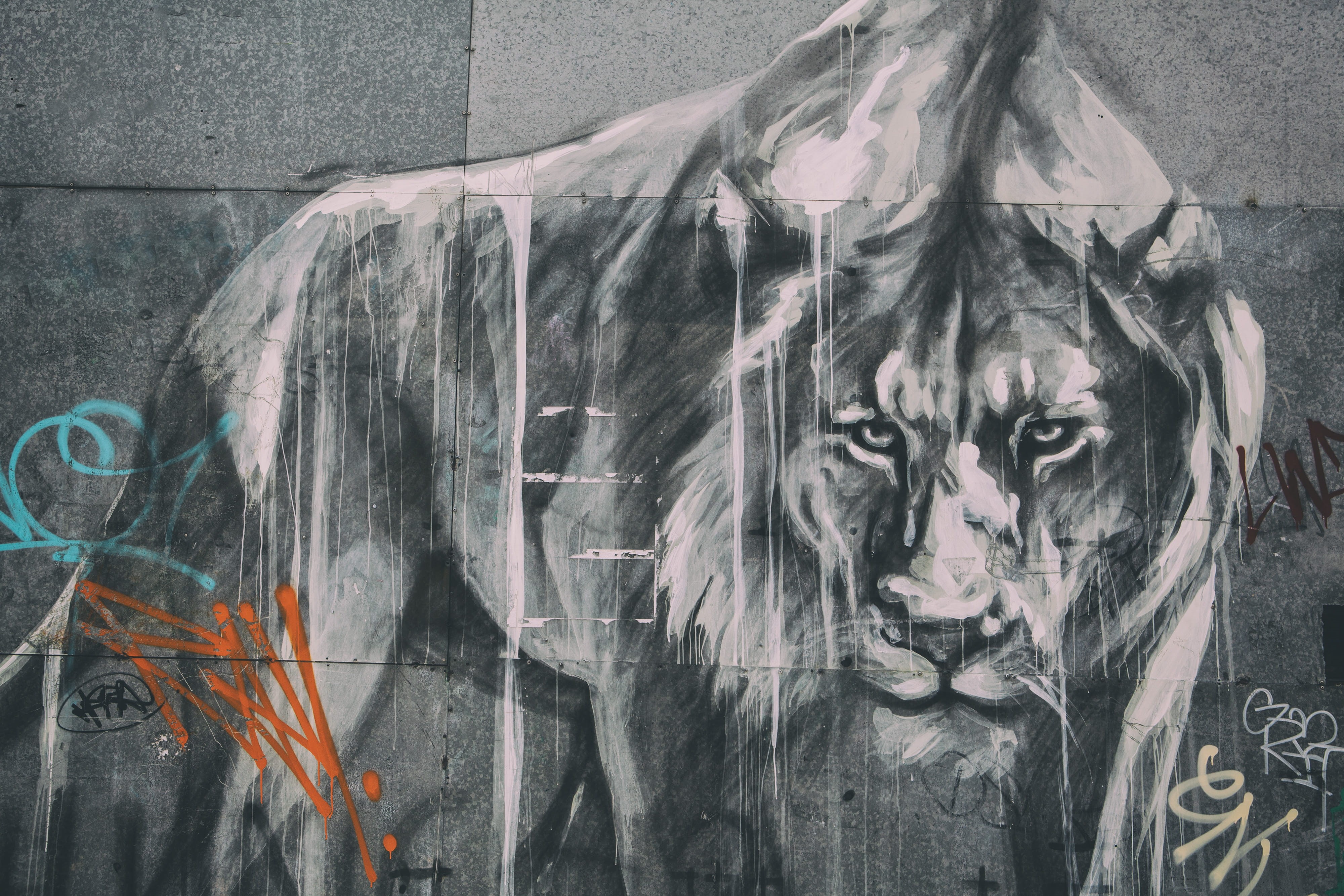 wide, representation, one person, urban, wall - building feature, art and craft, architecture, adults only, close-up, portrait, people, mural, creativity, HD Wallpaper