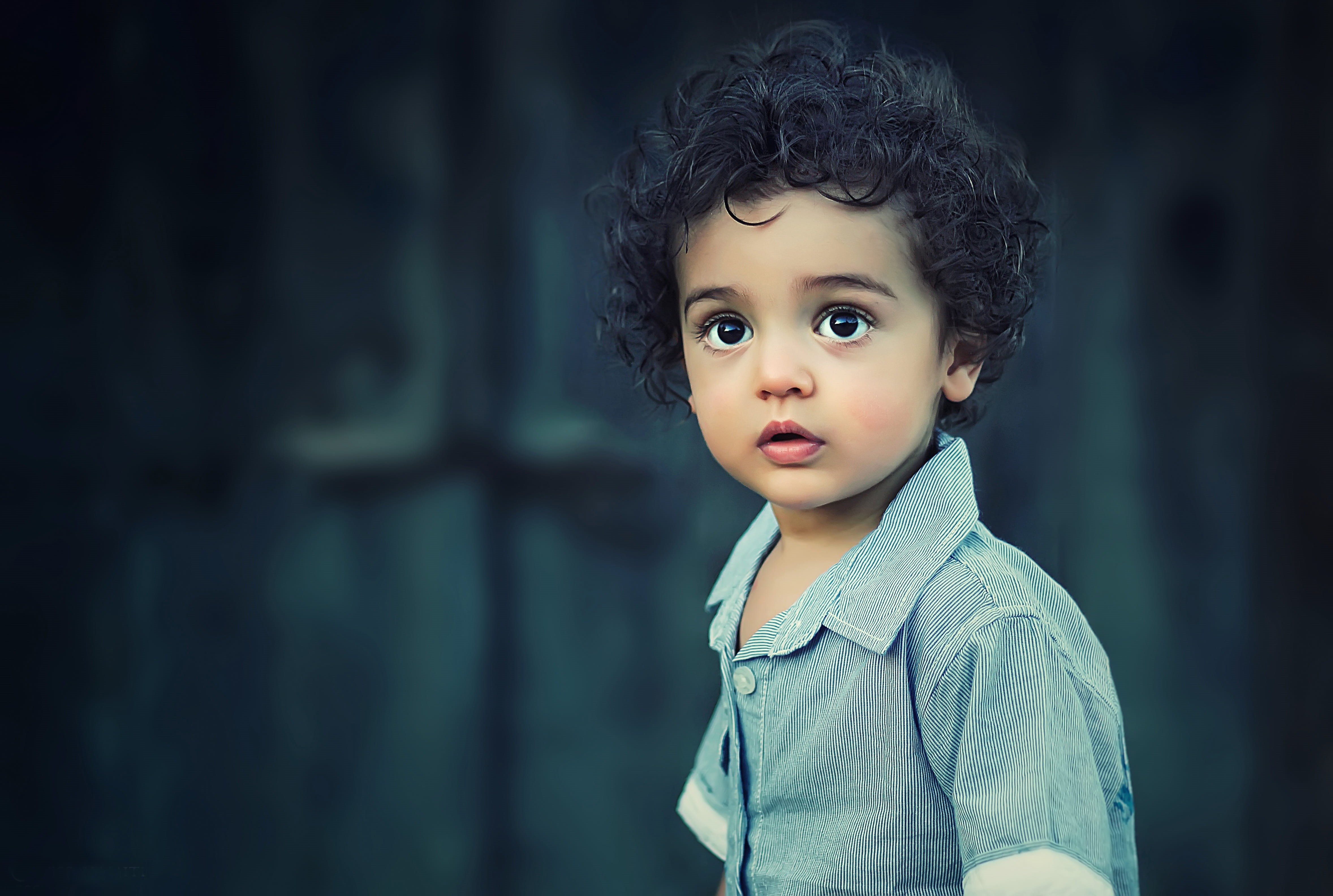 eyes, model, cute, preschool age, curly, portrait, females, one person, gray, button, front view, hairstyle, photoshoot, wear, innocence, photography, focus on foreground, HD Wallpaper