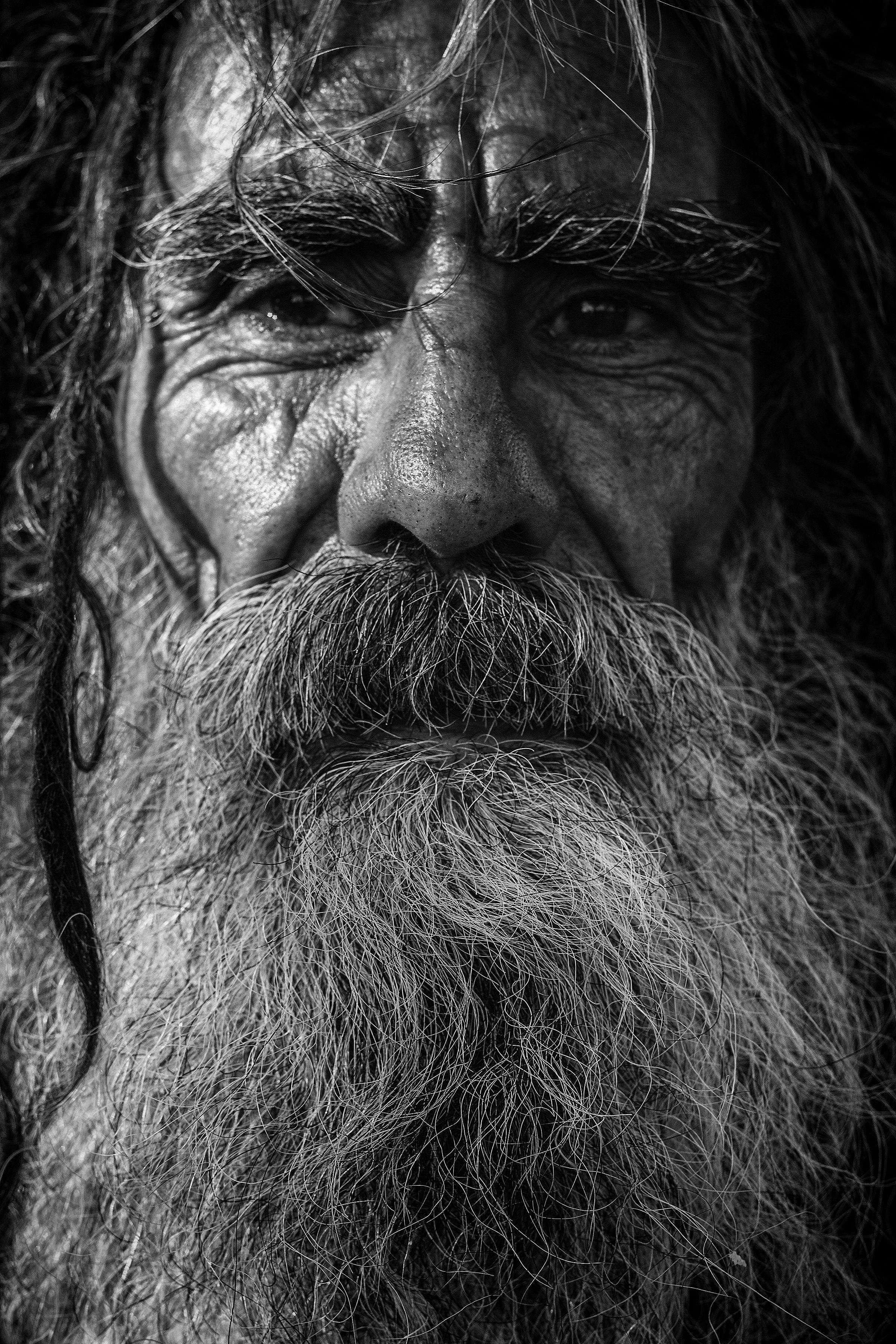 real people, dark, elderly, people, looking, portrait, facial hair, day, man, photo, serious, beard, men, person, males, hair, front view, old, wit, close-up, Phone HD Wallpaper