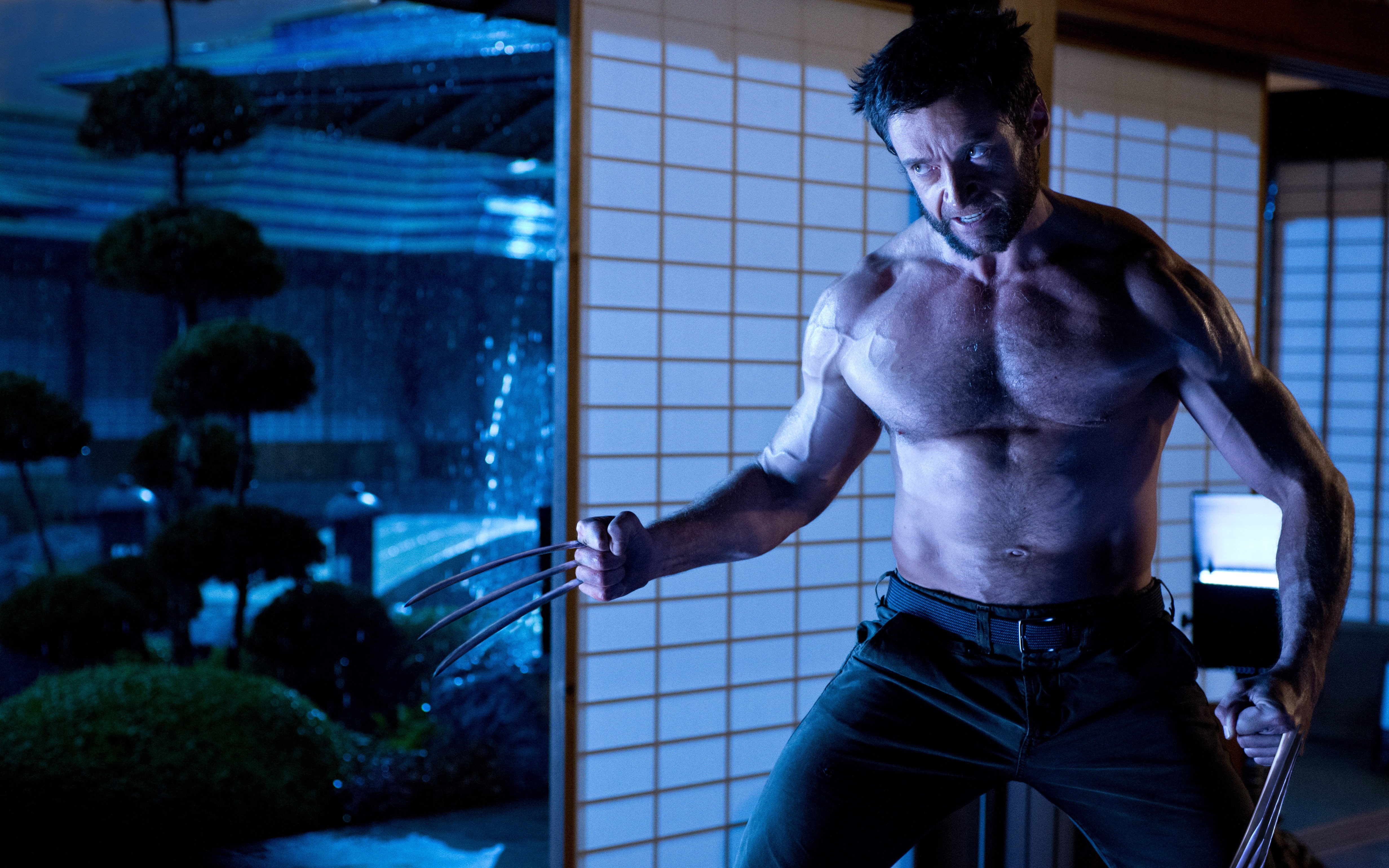 jackman, movies, 4K, wolverine, hugh, HD Wallpaper