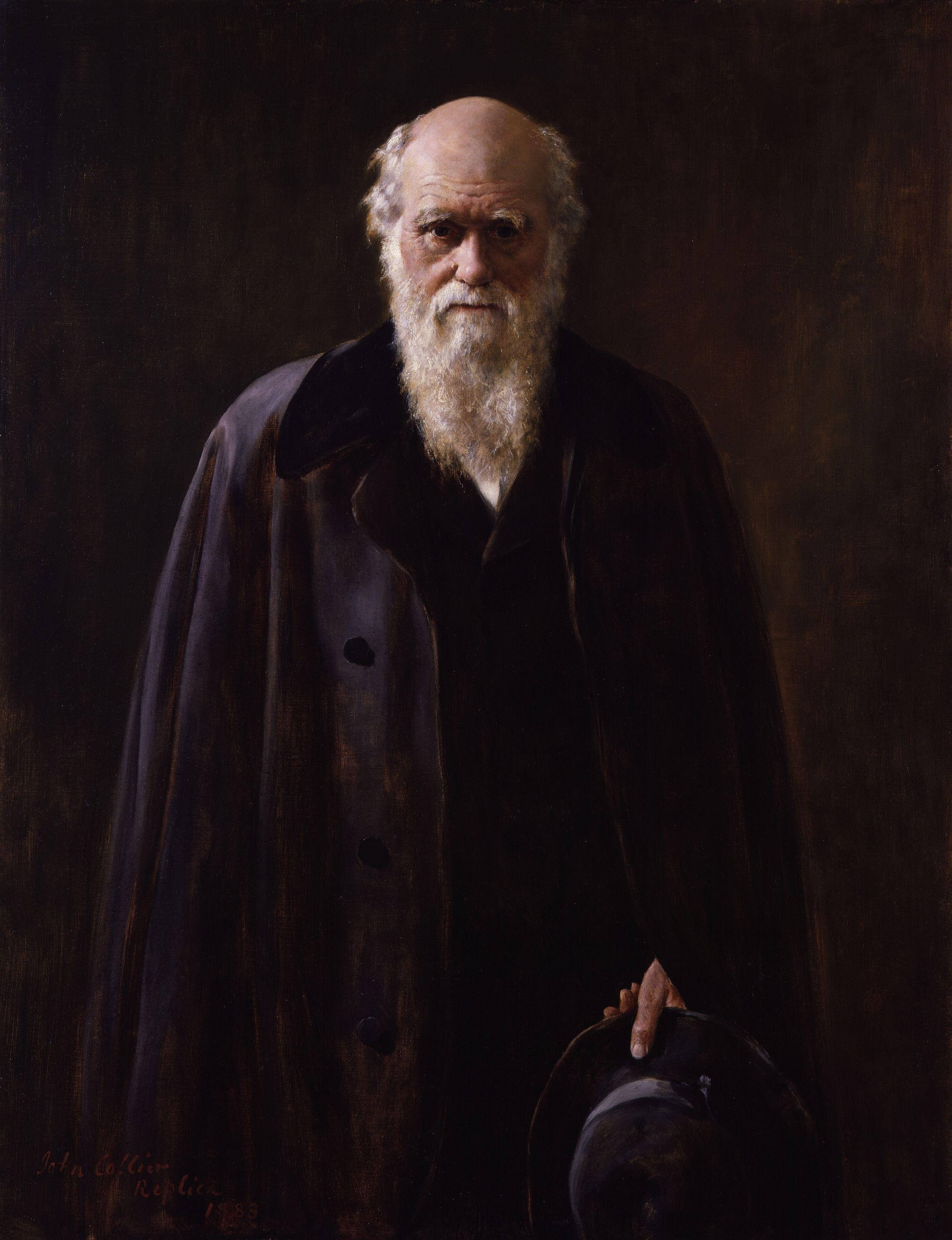 charles robert darwin, darwinism, 1883, adult, senior men, looking at camera, front view, standing, senior adult, one person, beard, indoors, studio shot, Phone HD Wallpaper