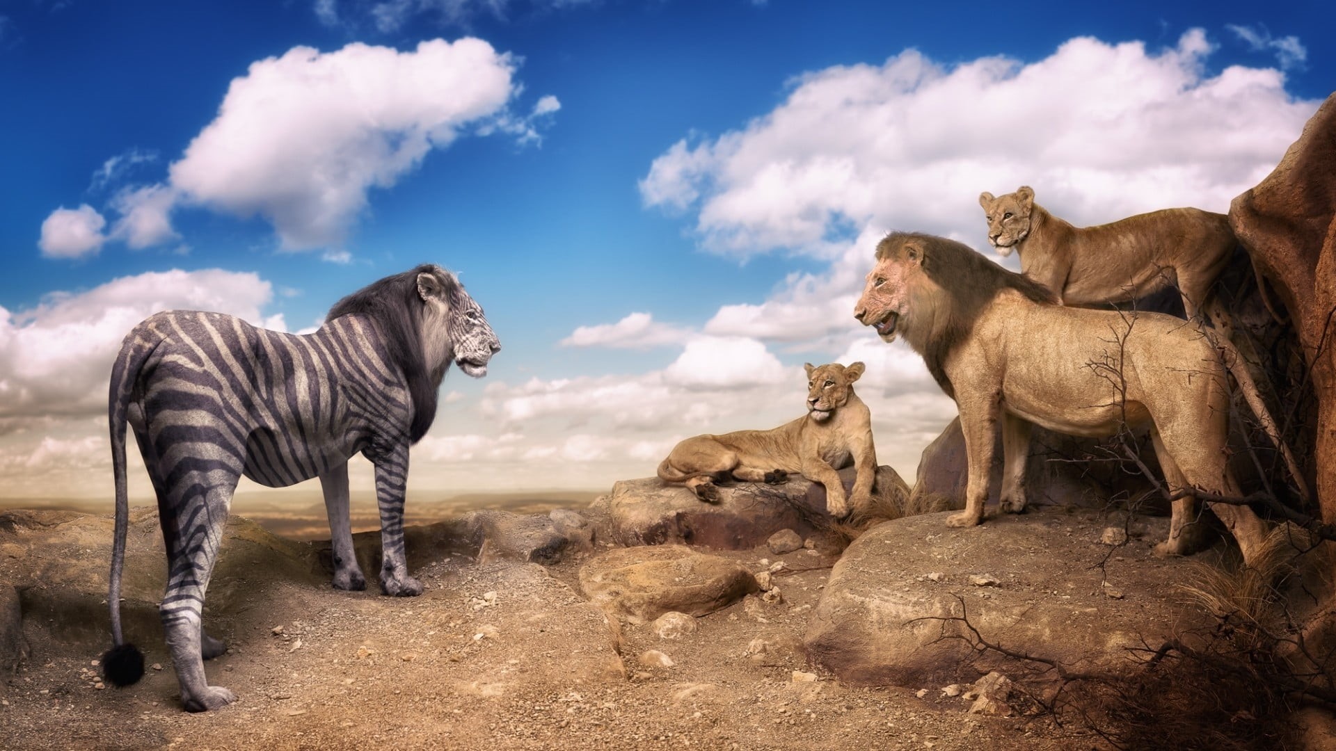 animal family, photo manipulation, side view, group of animals, animals in the wild, lion, photo, animals, environment, digital art, animal, cloud - sky, HD Wallpaper