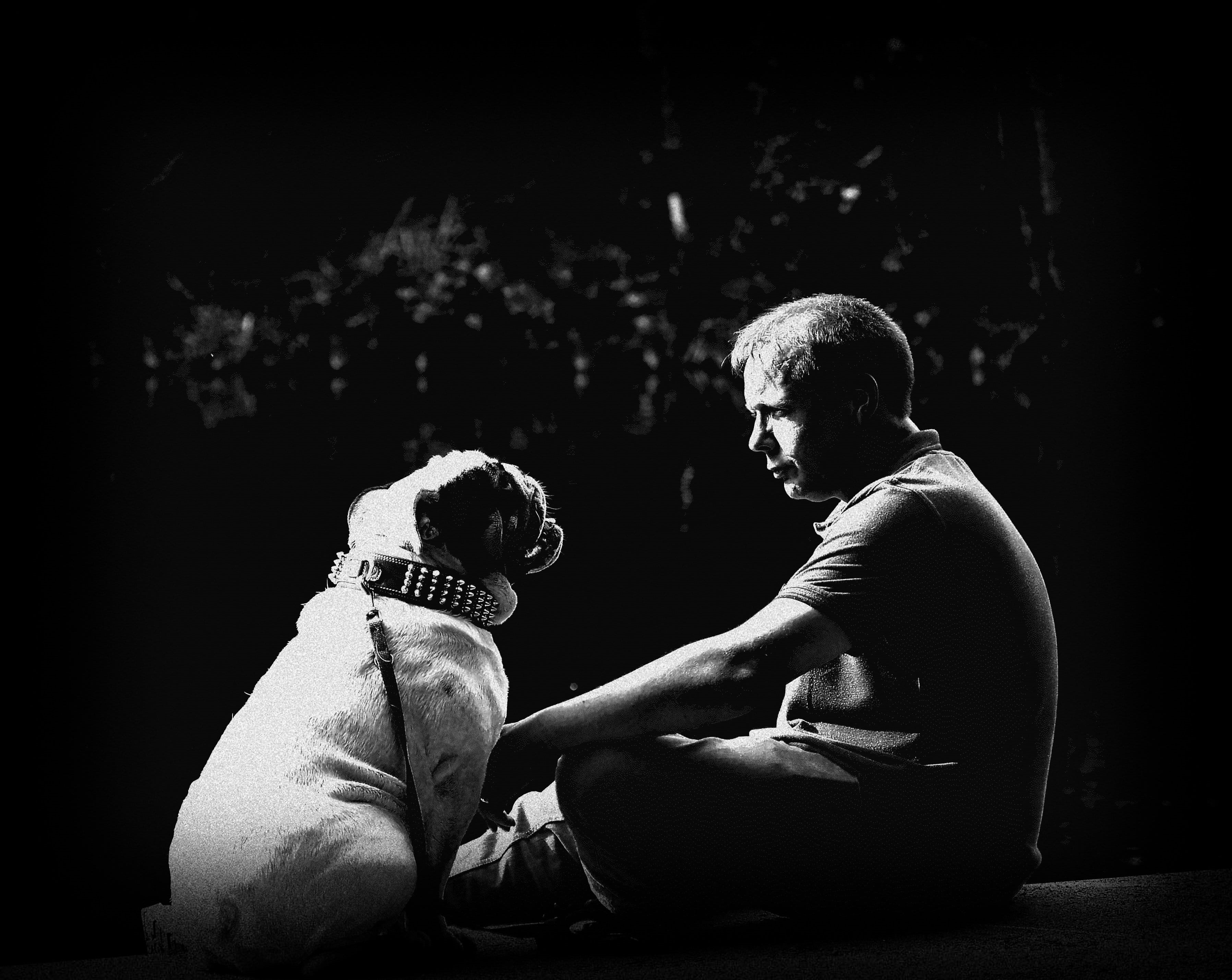 2K, wildlife photography, master, animal, concepts And Ideas, trust, buddy, male, friendship, photo, black And White, pet, man, adult, dog, couple - Relationship, HD Wallpaper