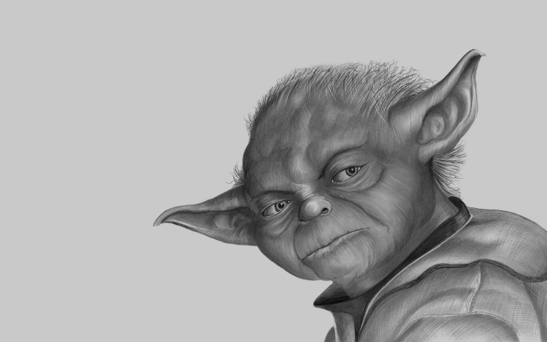 cut out, males, mature adult, master, Yoda, sketch, indoors, looking at camera, human face, one person, copy space, adult, studio shot, lifestyles, senior adult, HD Wallpaper