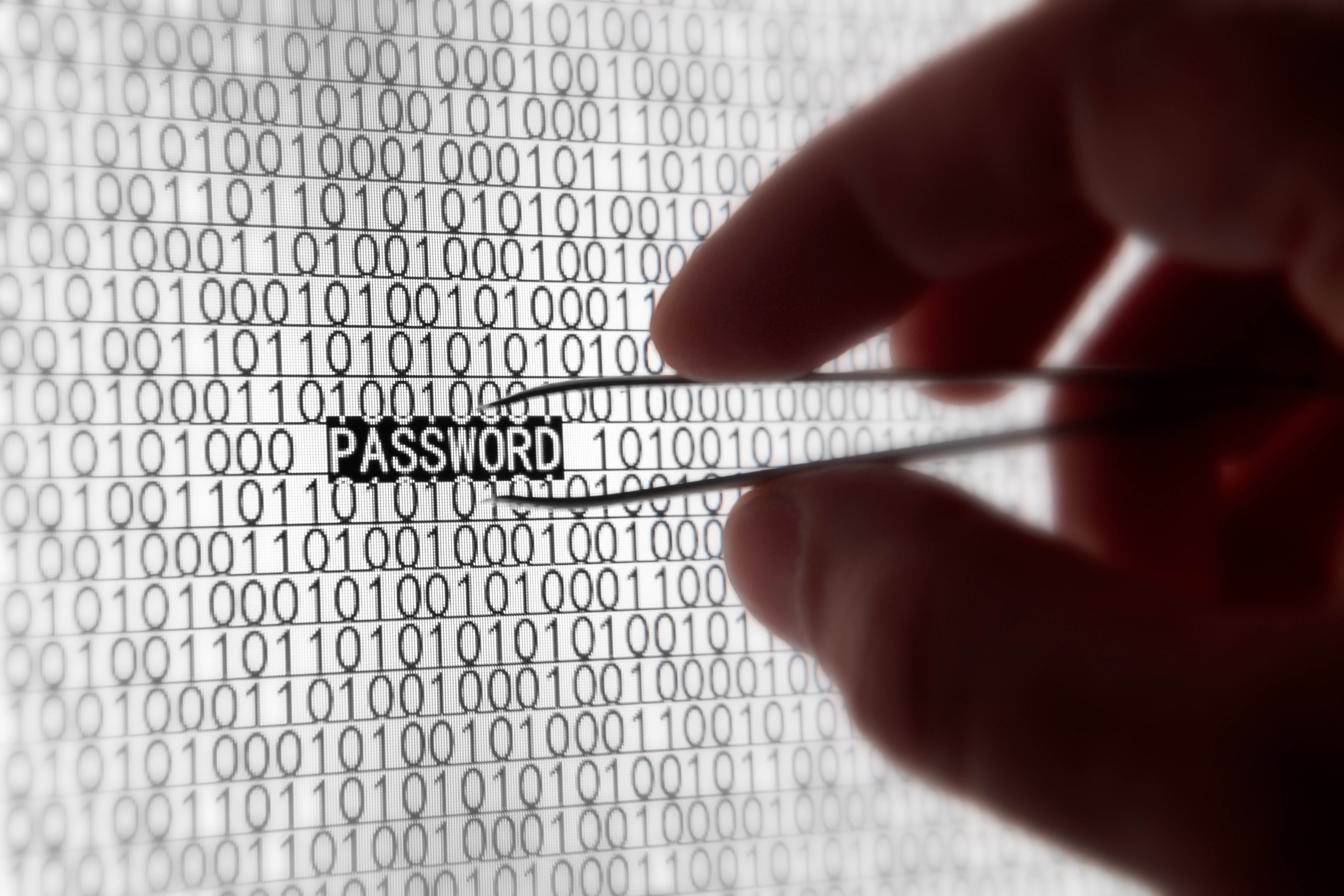 forceps, ideas, digital Display, computer equipment, business, hands, internet, tweezers, hand, human Hand, symbol, human Finger, cyberspace, information Medium, HD Wallpaper