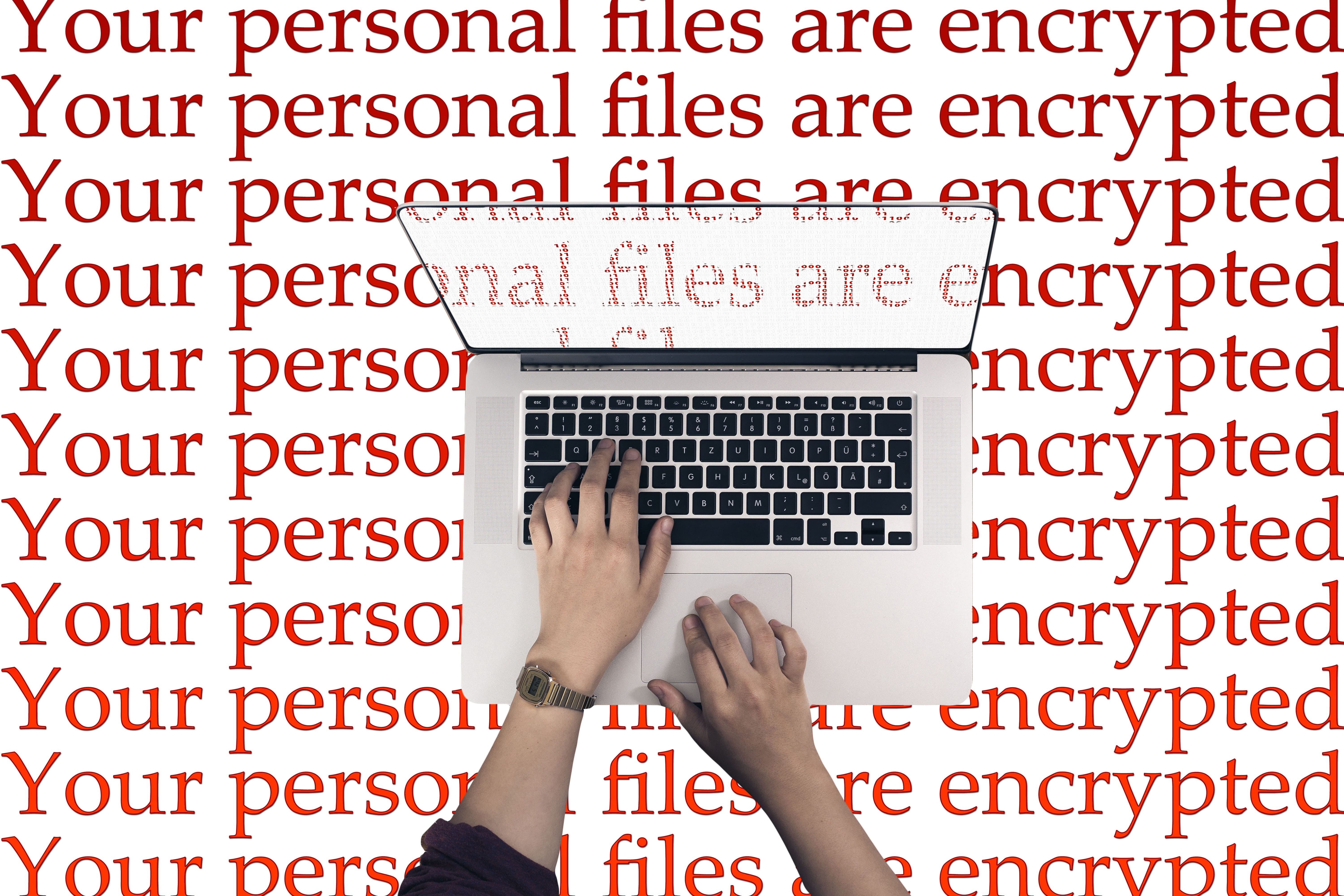 trojan, person, cyber, anti virus, body part, hacker, viruses, business, damage, red, Attack, hand, programming, computer, software, newspaper, low section, HD Wallpaper