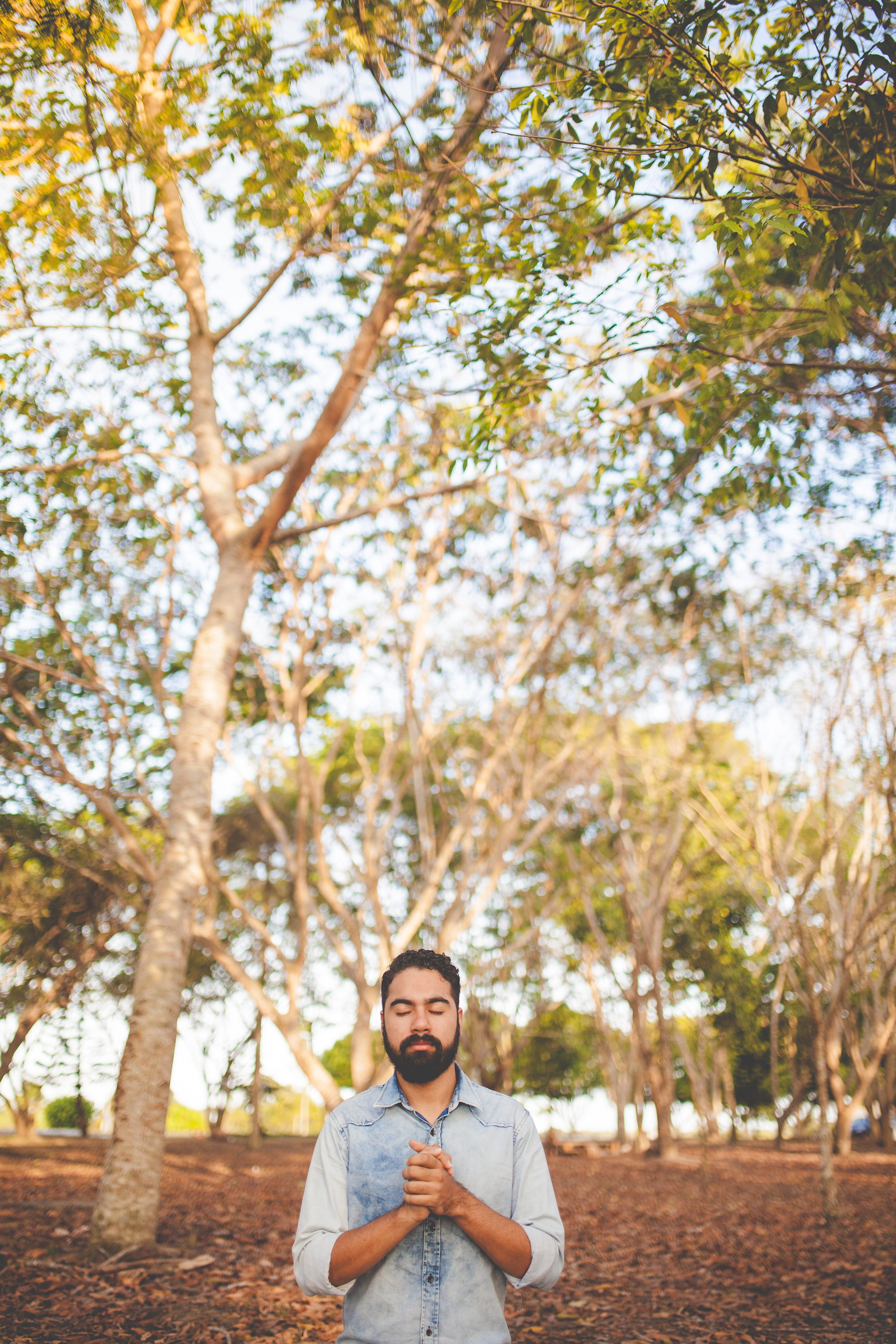 one person, chest, near, closed, calm, portrait, nature, brasil, looking at camera, men, leafed, spiritual, plant, casual clothing, 5K, adoração, front, Phone HD Wallpaper