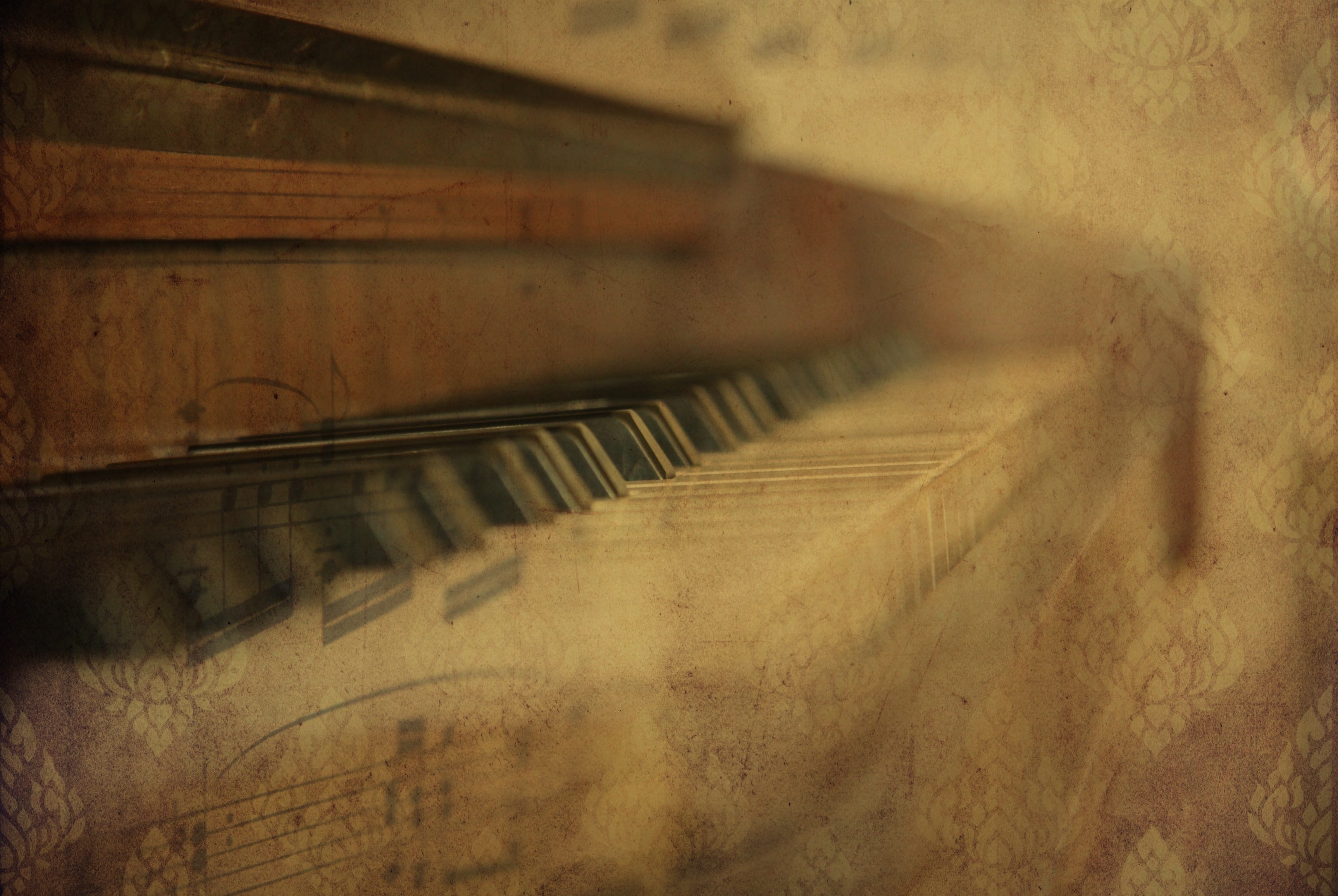 sheet music, old, abandoned, texture, wood - material, keys, grunge, musical equipment, in a row, blurry, arts culture and entertainment, closeup, nature, HD Wallpaper