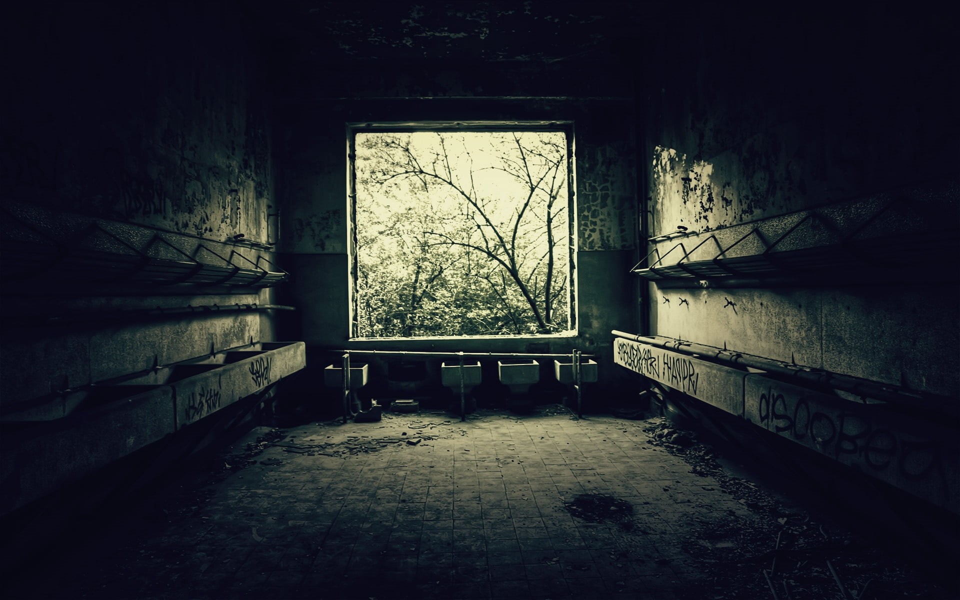 architecture And Buildings, mare, plants, no People, weathered, run-Down, indoors, empty, ruined, wall - Building Feature, decline, underground, architecture, HD Wallpaper