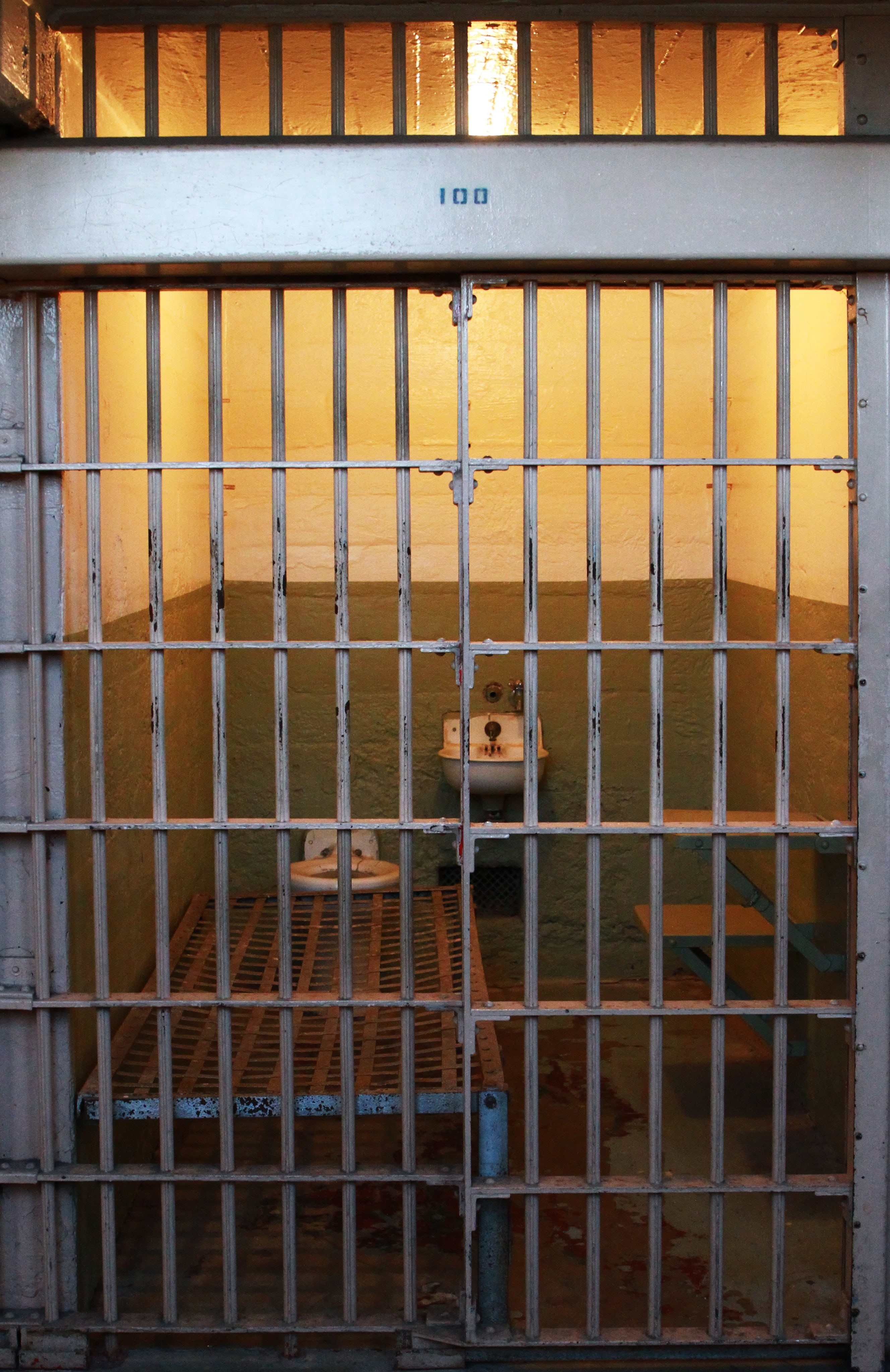 security, lockup, day, convict, alcatraz prison, criminal, vertebrate, jail, no people, correctional, monkey, prisoner, cell, gate, security Bar, bars, Phone HD Wallpaper