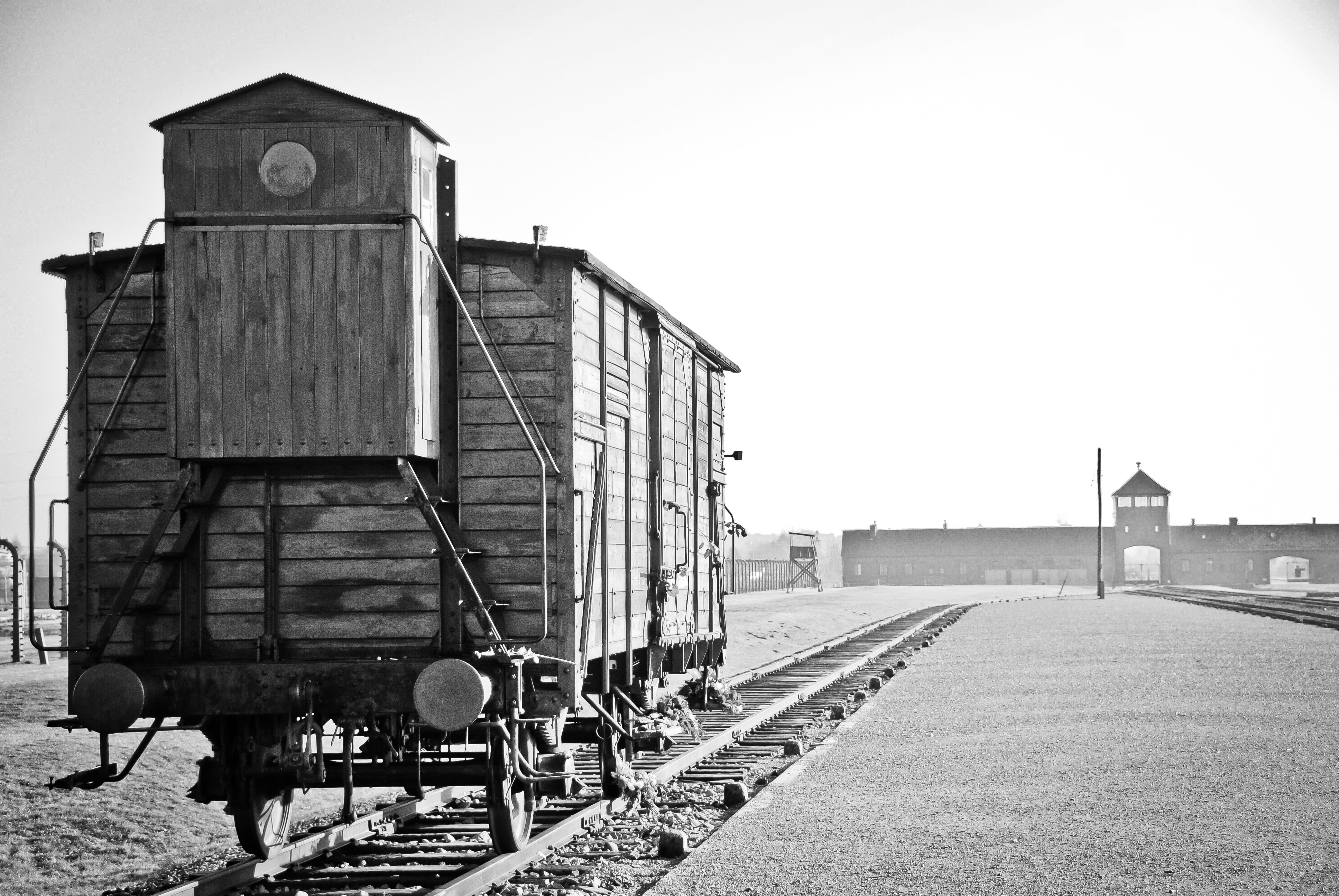 carriage, ww2, day, grayscale, genocide, clear sky, no people, copy space, architecture, jail, auschwitz, sunlight, connection, camp, memorial, building, HD Wallpaper