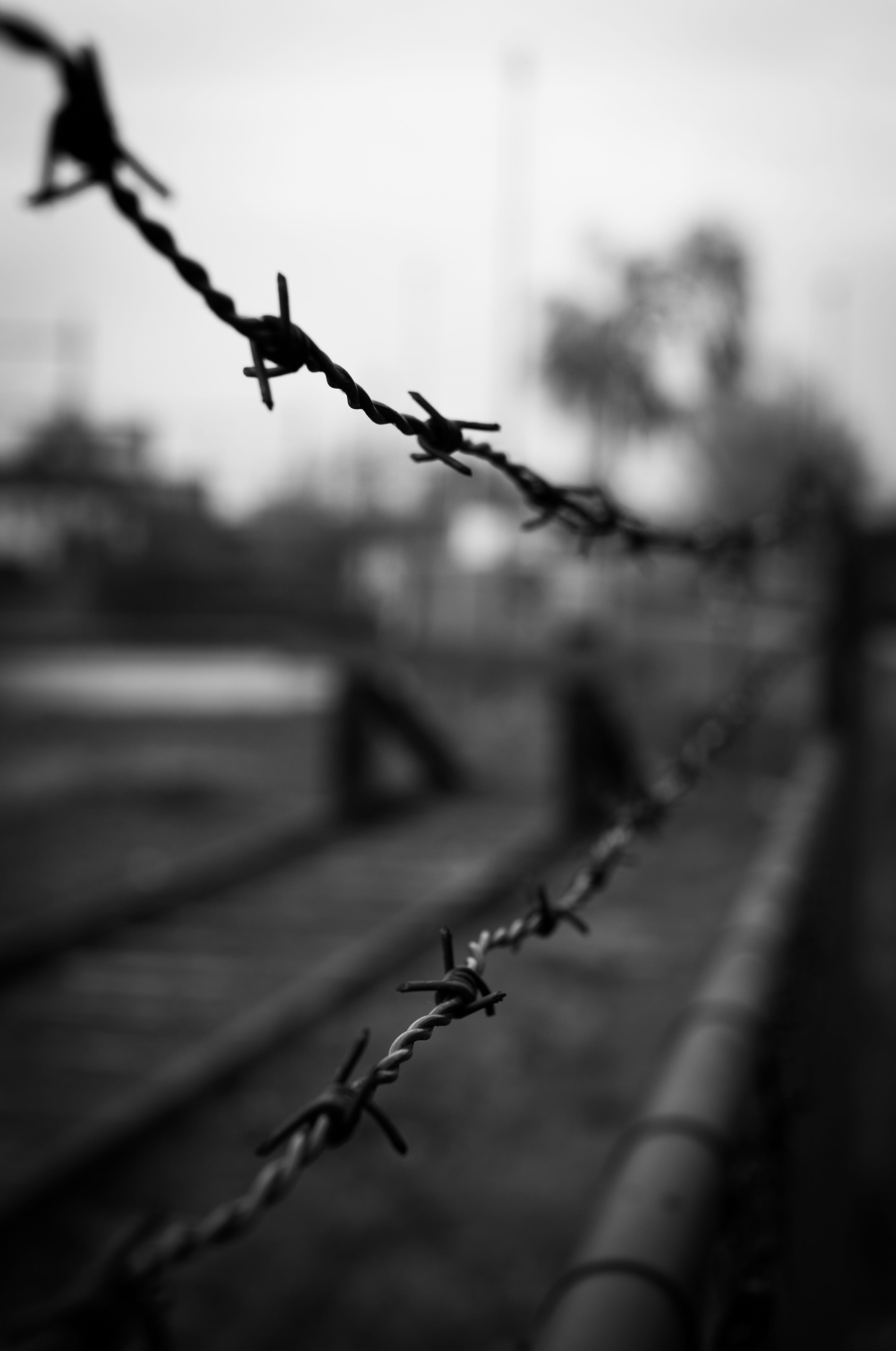 steel, wire, barb, barb wire, boundary, fence, outdoors, 4K, barbwire, barbed wire, danger, warning sign, forbidden, border, protect, black and white, Phone HD Wallpaper