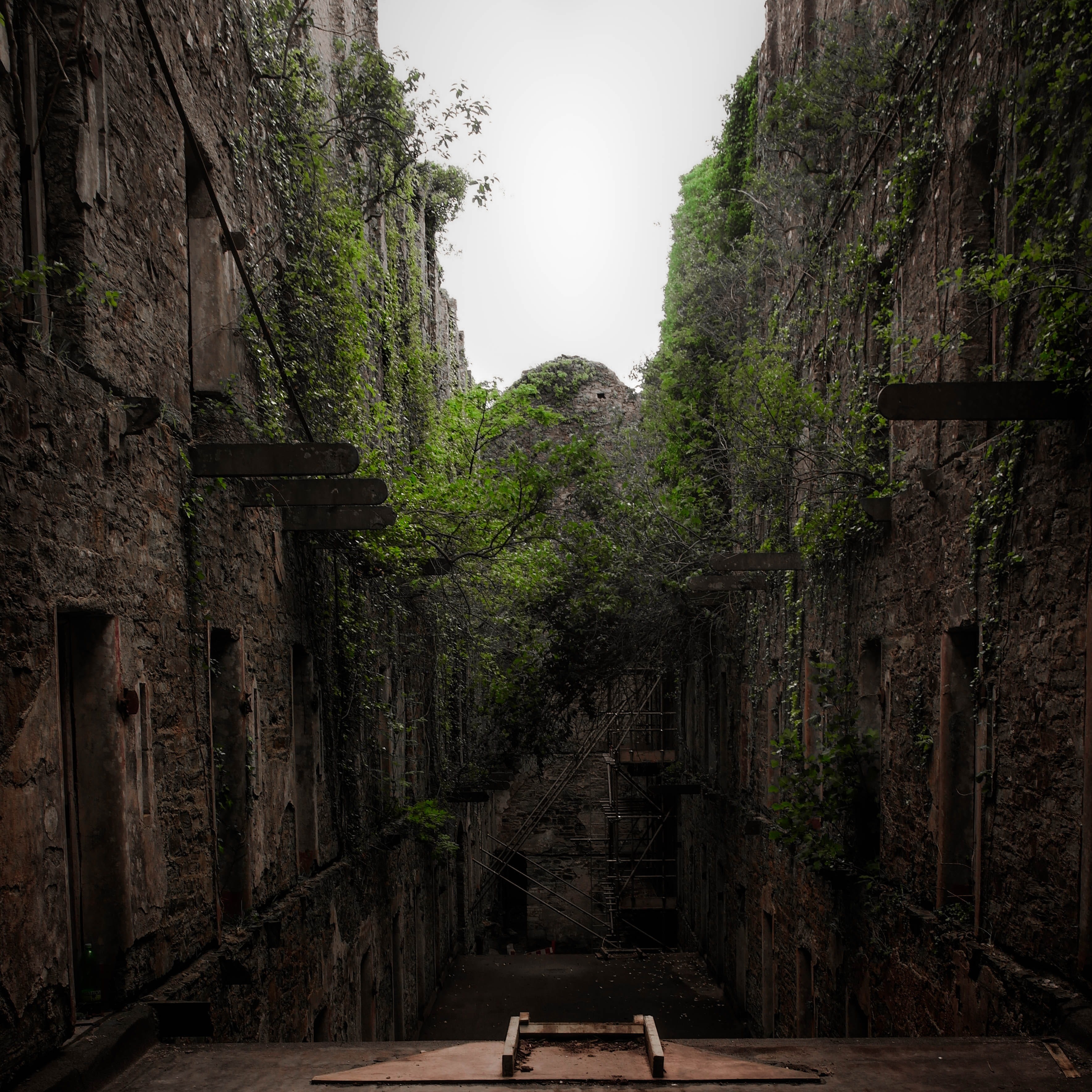 haunted, history, no people, outdoors, ruins, tranquil scene, cornwall, direction, nature, land, the way forward, growth, derelict, tree, tranquility, built structure, Phone HD Wallpaper