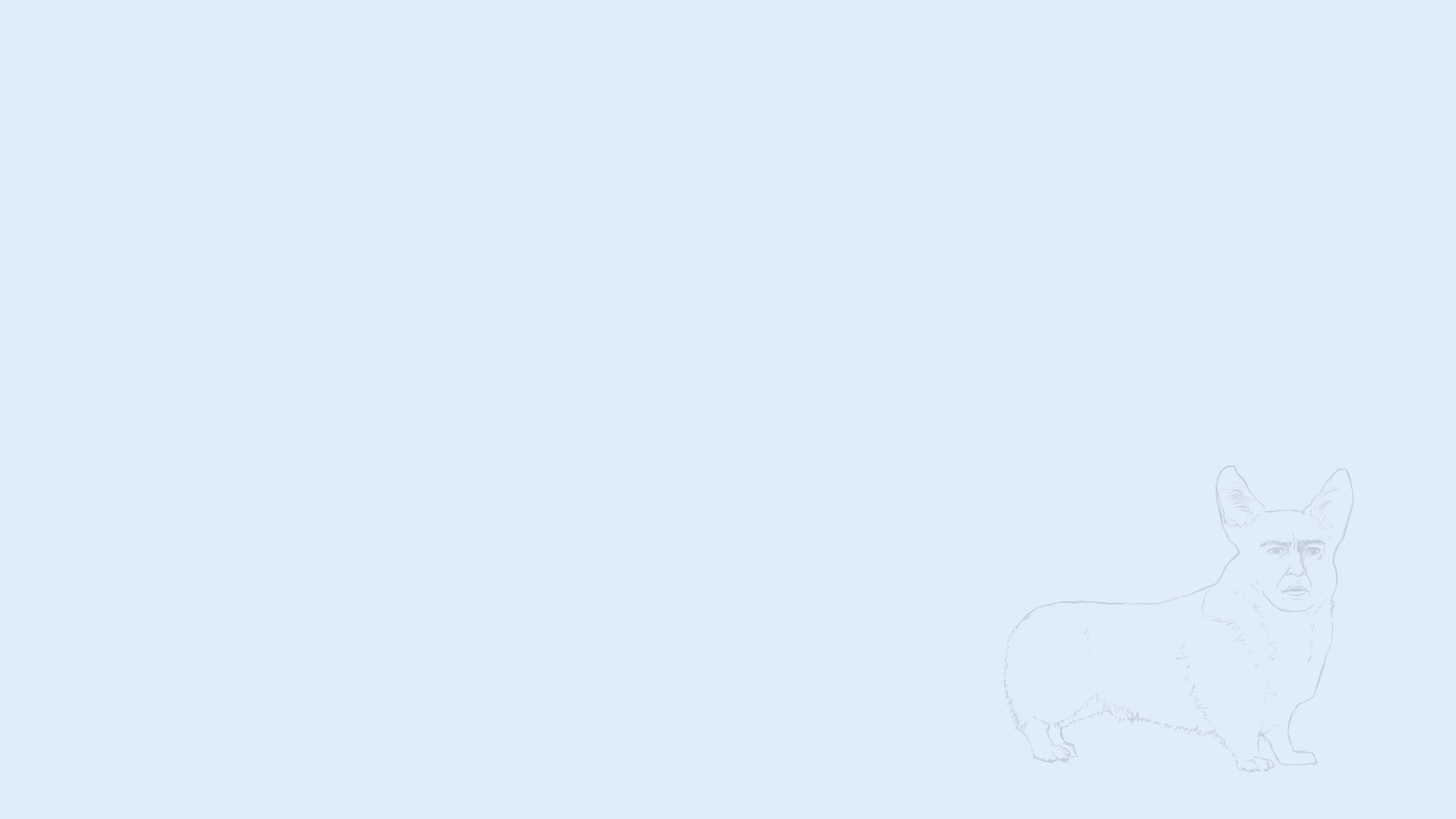 1080P, Corgi, memes, reddit, HD Wallpaper