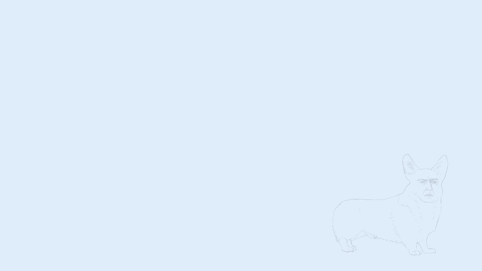 art and craft, Memes, creativity, animal representation, cold temperature, studio shot, animal themes, Corgi, pattern, cat, representation, mammal, reddit, HD Wallpaper