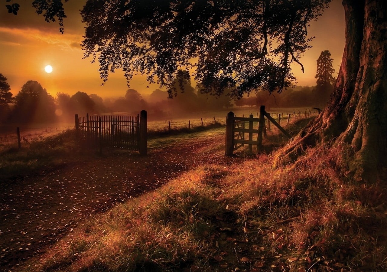 beauty in nature, wood - material, sunset, grass, no people, idyllic, non-urban scene, landscape, fence, outdoors, water, plant, 720P, nature, scenics - nature, HD Wallpaper