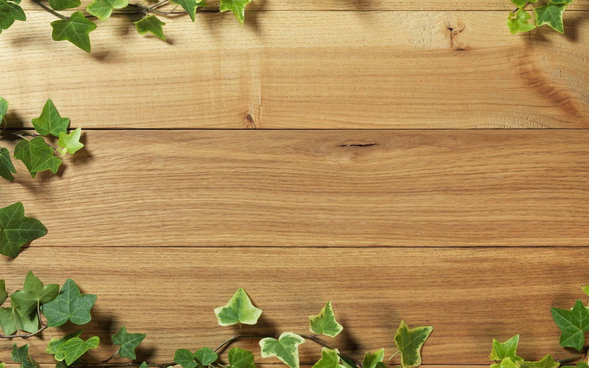 wood, brown, photography, fence, 1920x1200, wooden, 1080P, ivy, green, board, leaf, illustration, HD Wallpaper