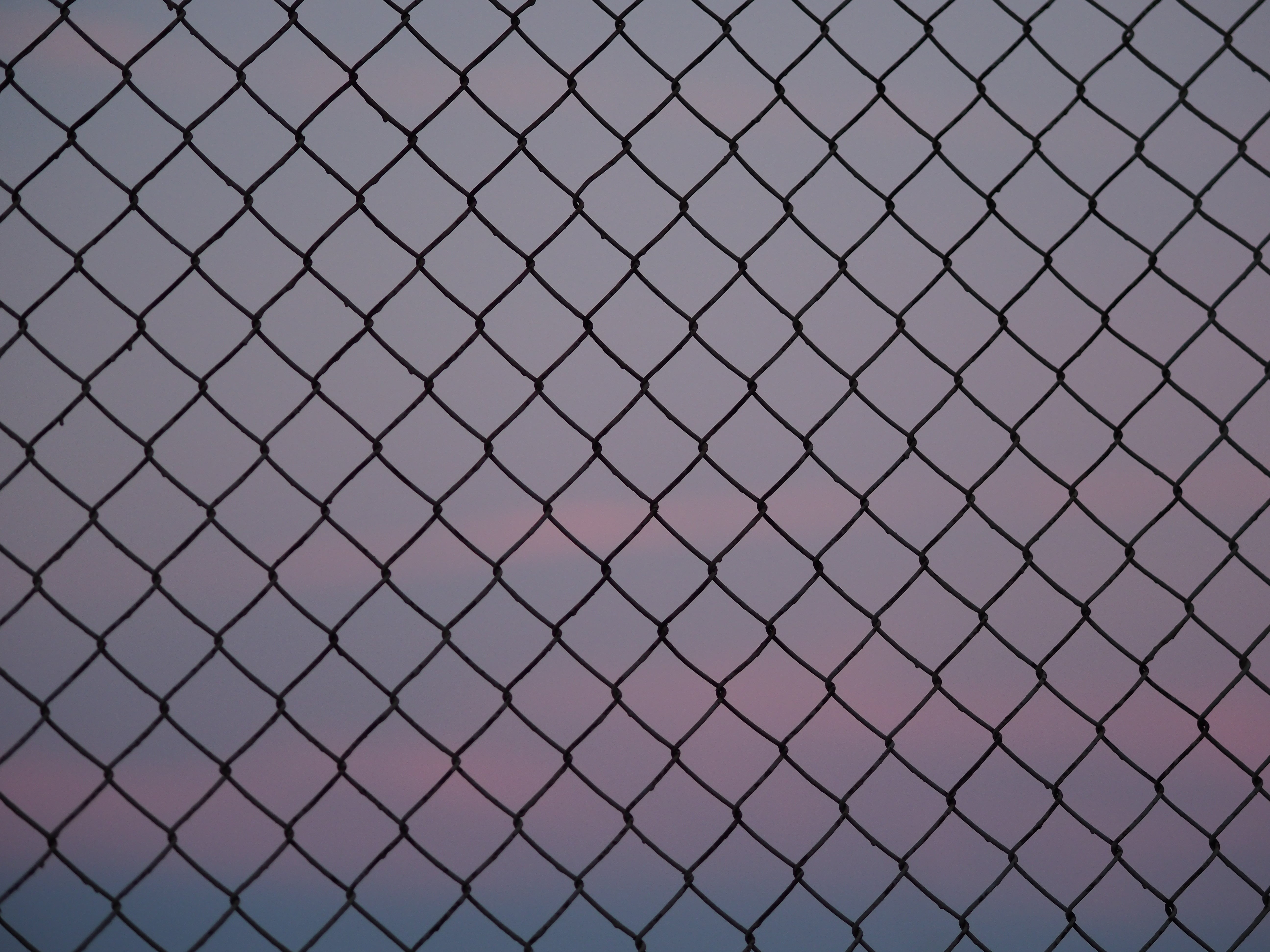 fence, chainlink fence, close-up, crisscross, no people, barrier, boundary, black, protection, outdoors, grid, backgrounds, background, day, pattern, metal, HD Wallpaper
