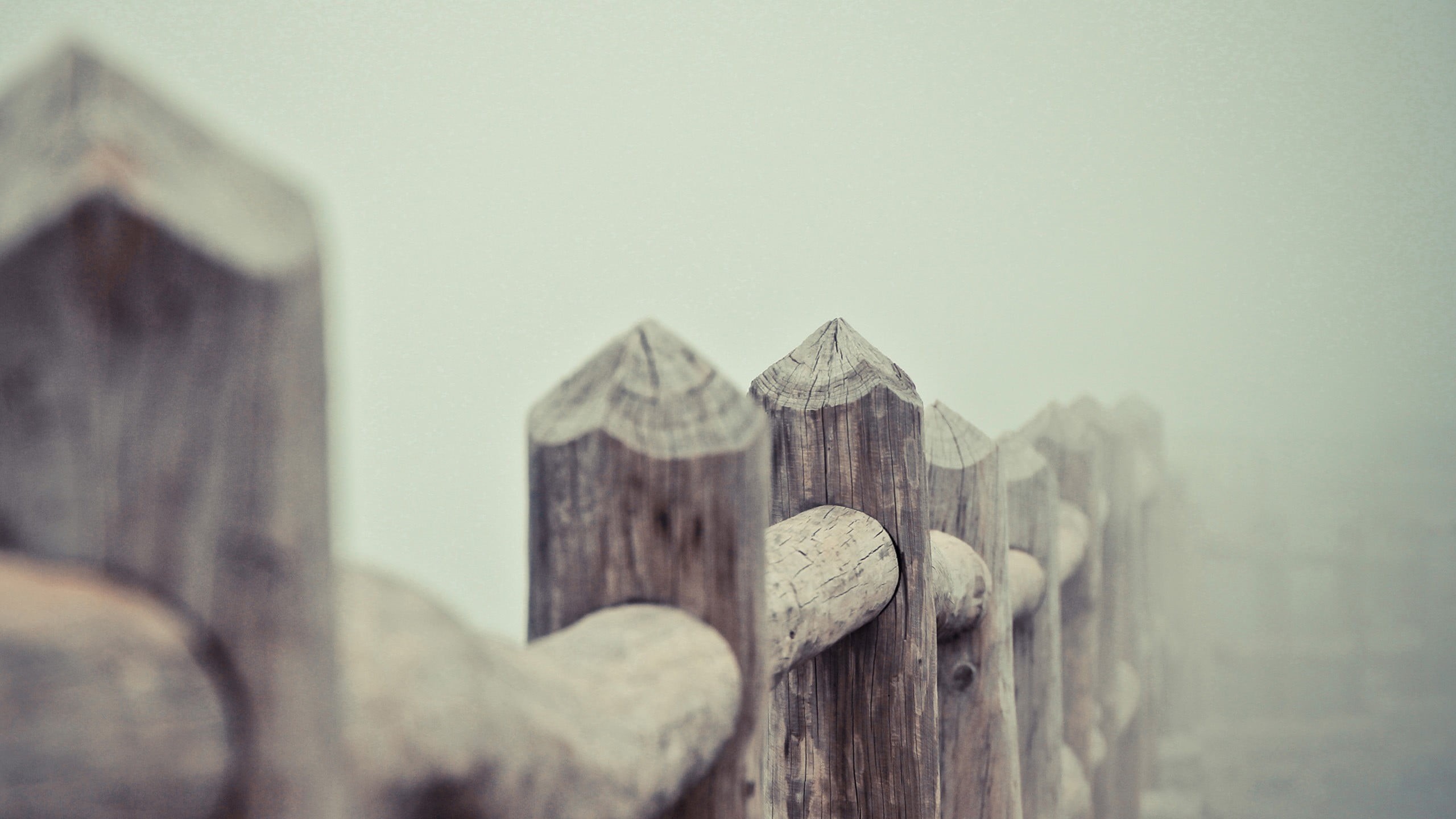 wall - building feature, depth of field, building, focus on foreground, architecture, outdoors, built structure, close-up, photography, no people, nature, HD Wallpaper