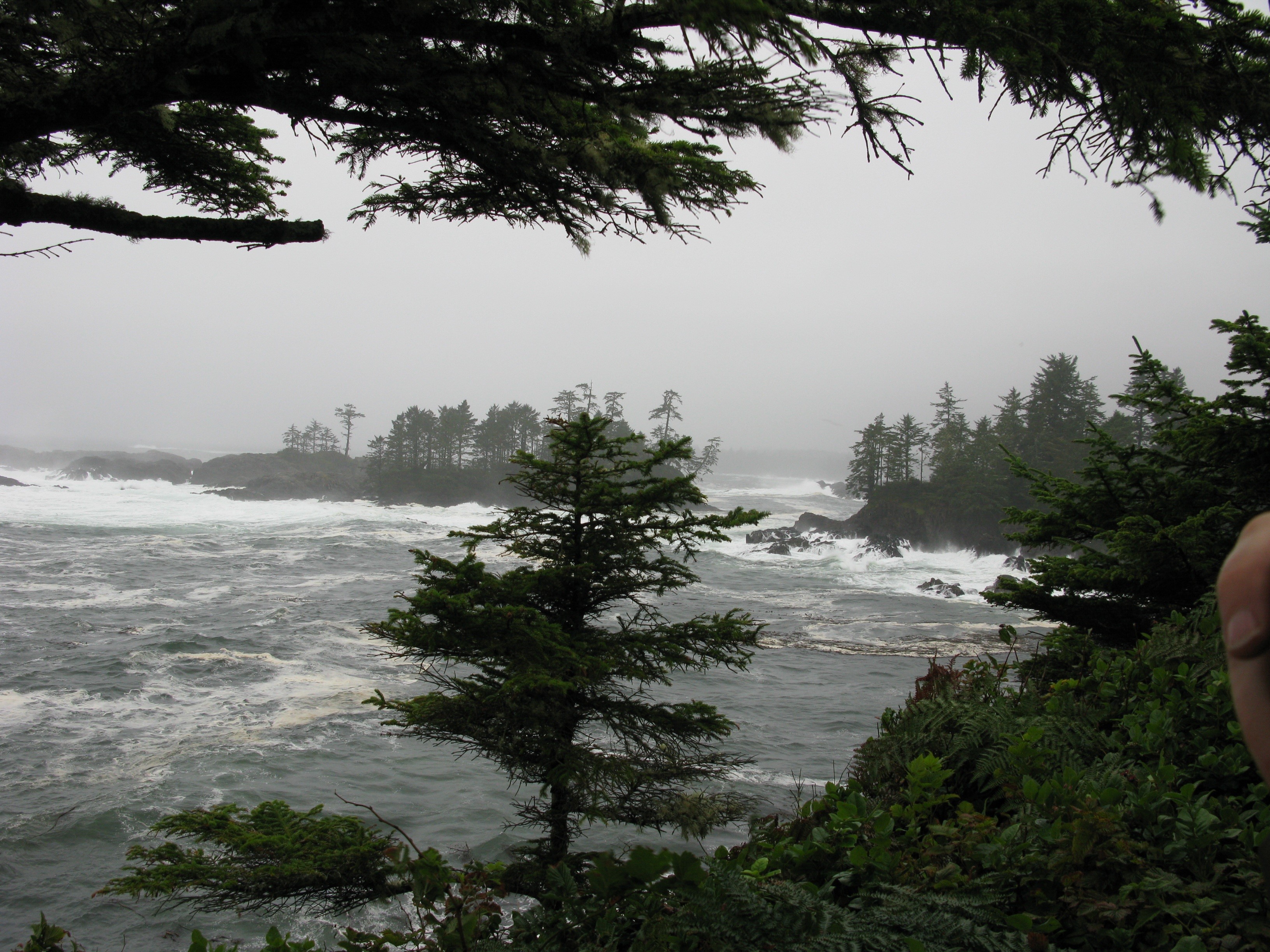 ocean, british columbia, nature, scenics - nature, power in nature, shoreline, coast, day, scenery, tranquil scene, storm, tofino, plant, tranquility, outdoors, HD Wallpaper