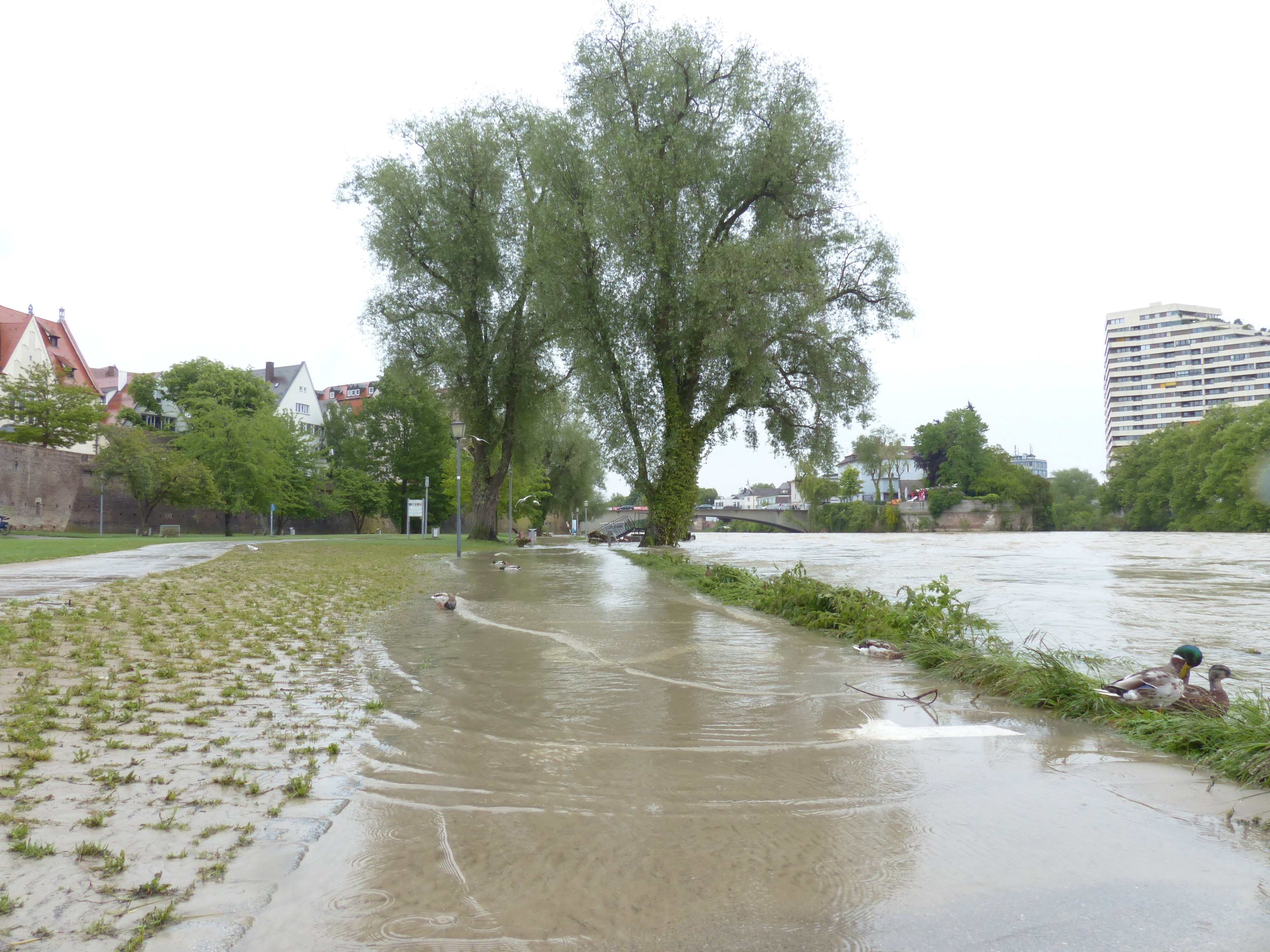 two, river floodplain, day, disaster, civil protection, waterfront, slurry, ulm, storm, built structure, flood damage, cloudiness, trees, danube, 4K, water level, HD Wallpaper