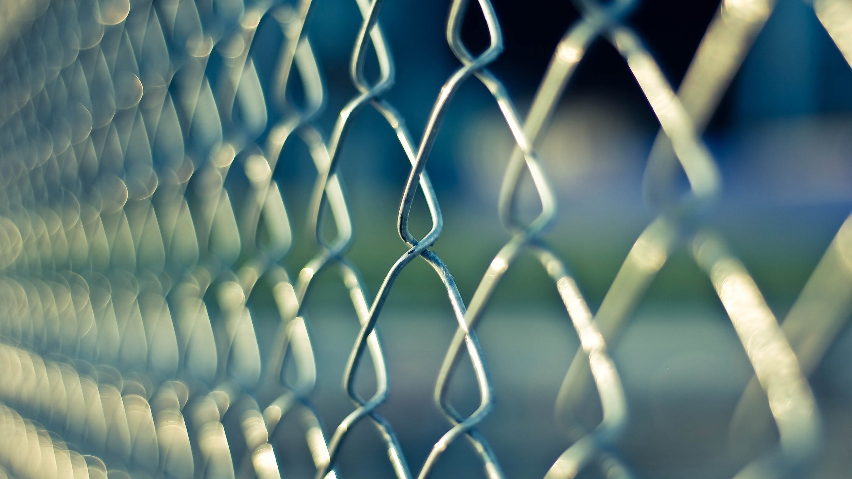 2K, wire, nature, prison, link, backgrounds, day, safety, pattern, full frame, close-up, border, chainlink, chainlink fence, barrier, fence, protection, HD Wallpaper