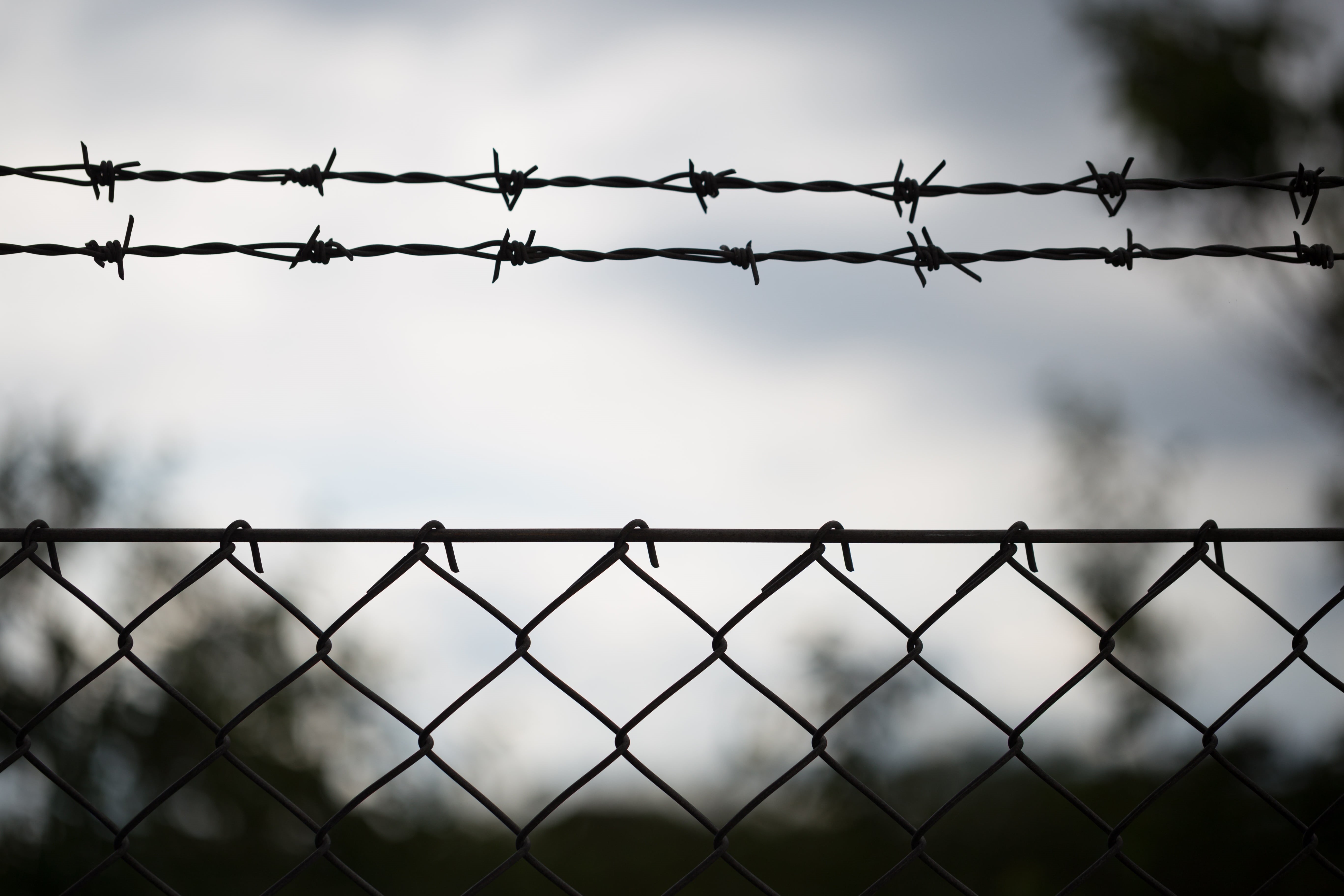 forbidden, photo, safety, border, trespassing, barbwire, nature, fence, cloud - sky, backgrounds, barb, wire, security, no entry, sky, boundary, graysacle, HD Wallpaper