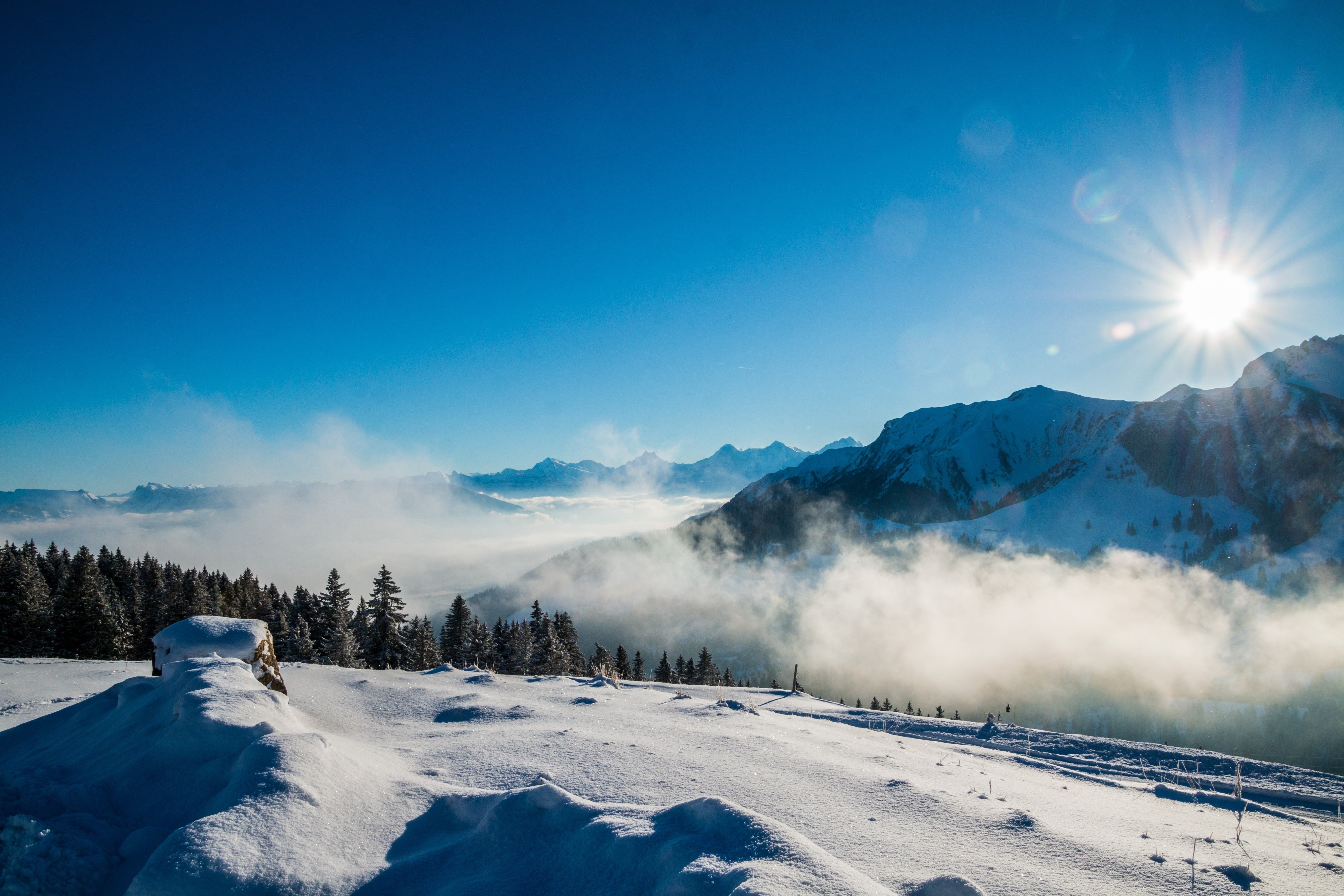 thun, ice, tranquil scene, mystical, mountain, tranquility, beauty in nature, forest, mountains, white, lens flare, environment, gurnigel, pine tree, scenics - nature, HD Wallpaper
