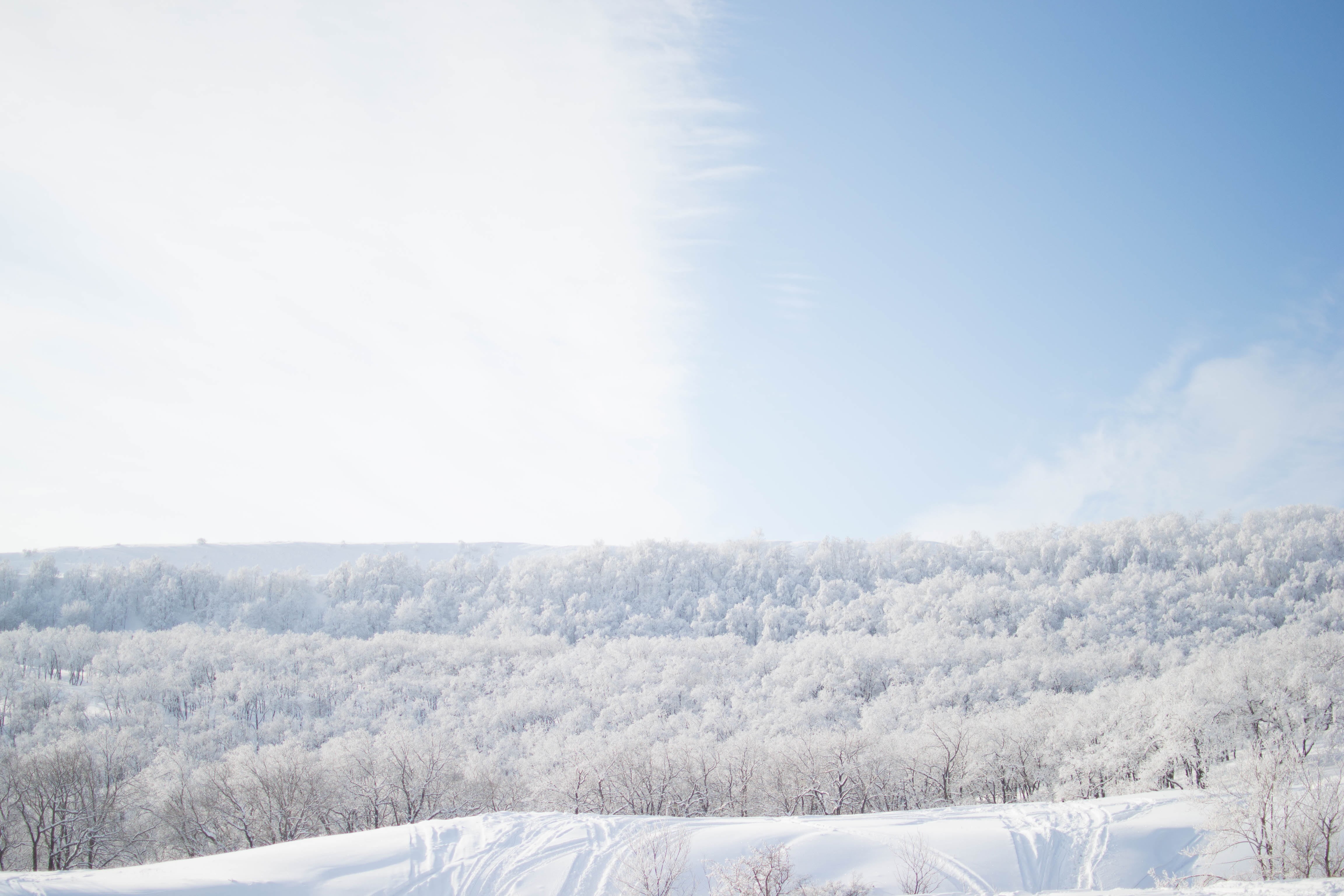 no people, cloud, season, ice, scenics, day, outdoors, plant, white color, outdoor, trees, mountain, tranquil scene, cold temperature, non-urban scene, HD Wallpaper