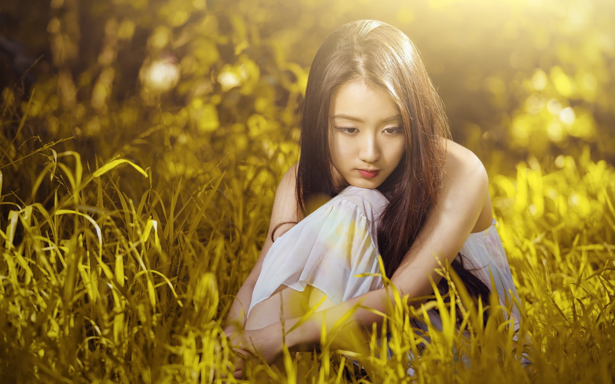 grass, 2K, asian, sunlight, photography, model, bokeh, girl, HD Wallpaper
