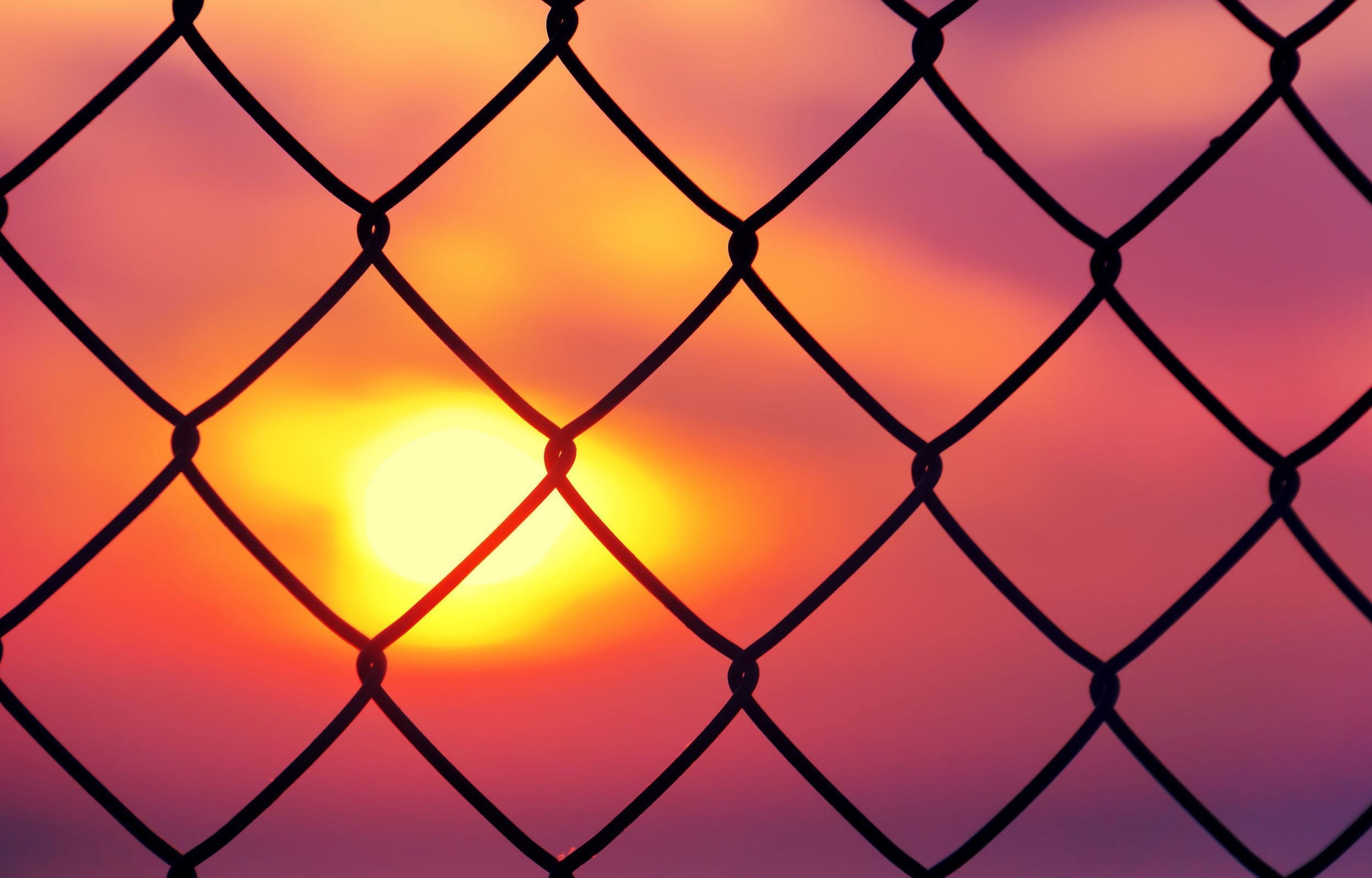 metal, pink, fence, wire, mood, sun, close-up, full frame, backgrounds, black, cyclone, grid, nature, the fence, outdoors, the sky, widescreen, pattern, HD Wallpaper