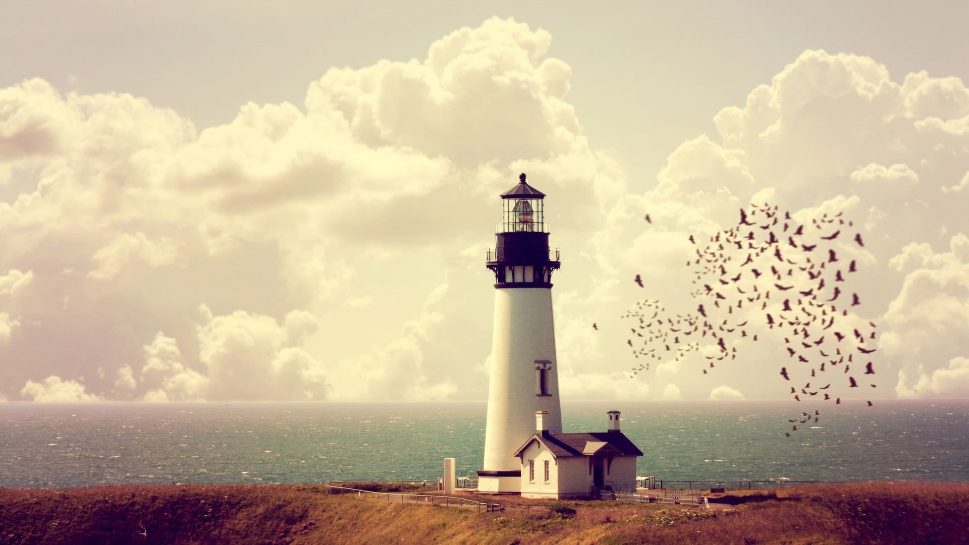 photo manipulation, safety, tower, cloud - sky, guidance, direction, no people, lighthouse, black, nature, horizon over water, water, bird, sky, white, HD Wallpaper