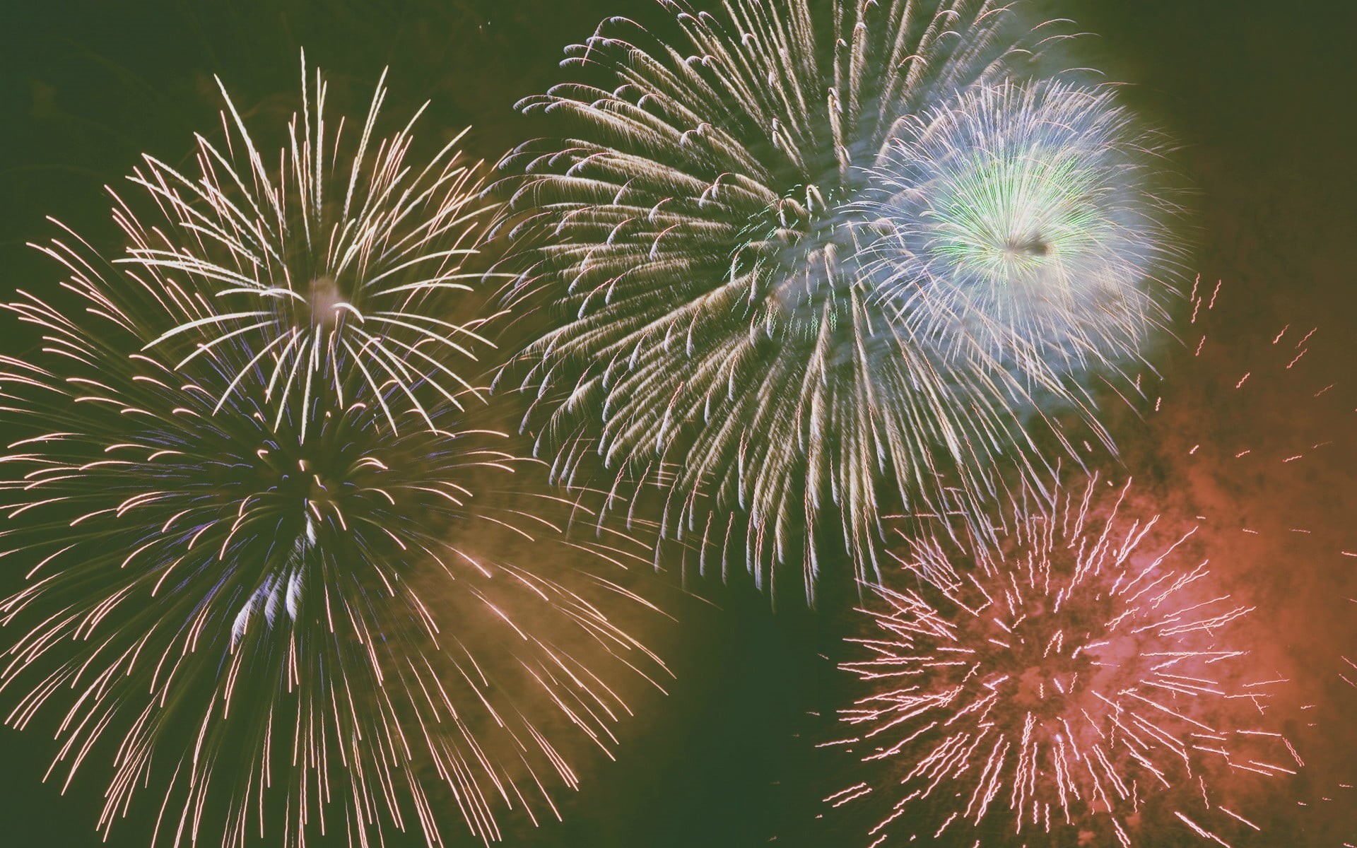 spiky, dandelion seed, dandelion, fragility, 1080P, fireworks, outdoors, flower, growth, close-up, plant, no people, low angle view, beauty in nature, HD Wallpaper