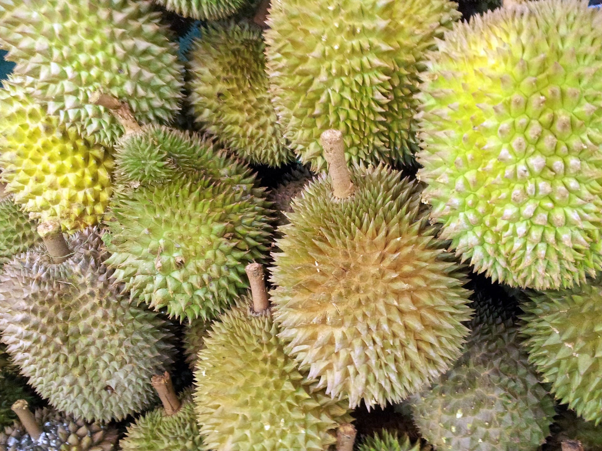 health, food and drink, diet, growth, close-up, healthy eating, green, singapore, ripe, nutrition, juicy, day, full frame, no people, delicious, jackfruits, HD Wallpaper