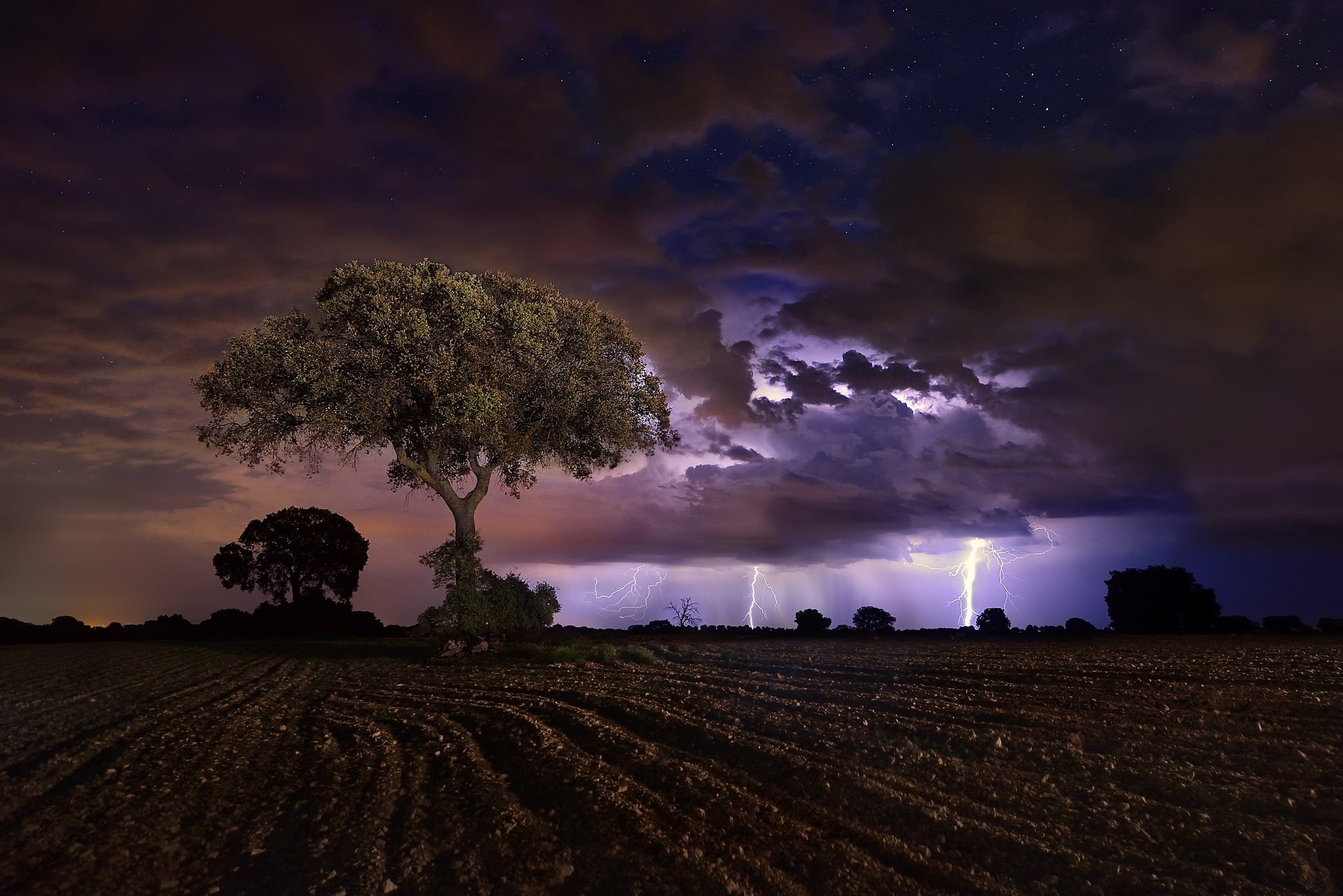 1080P, landscape, trees, field, lightning, sky, dark, storm, night, HD Wallpaper