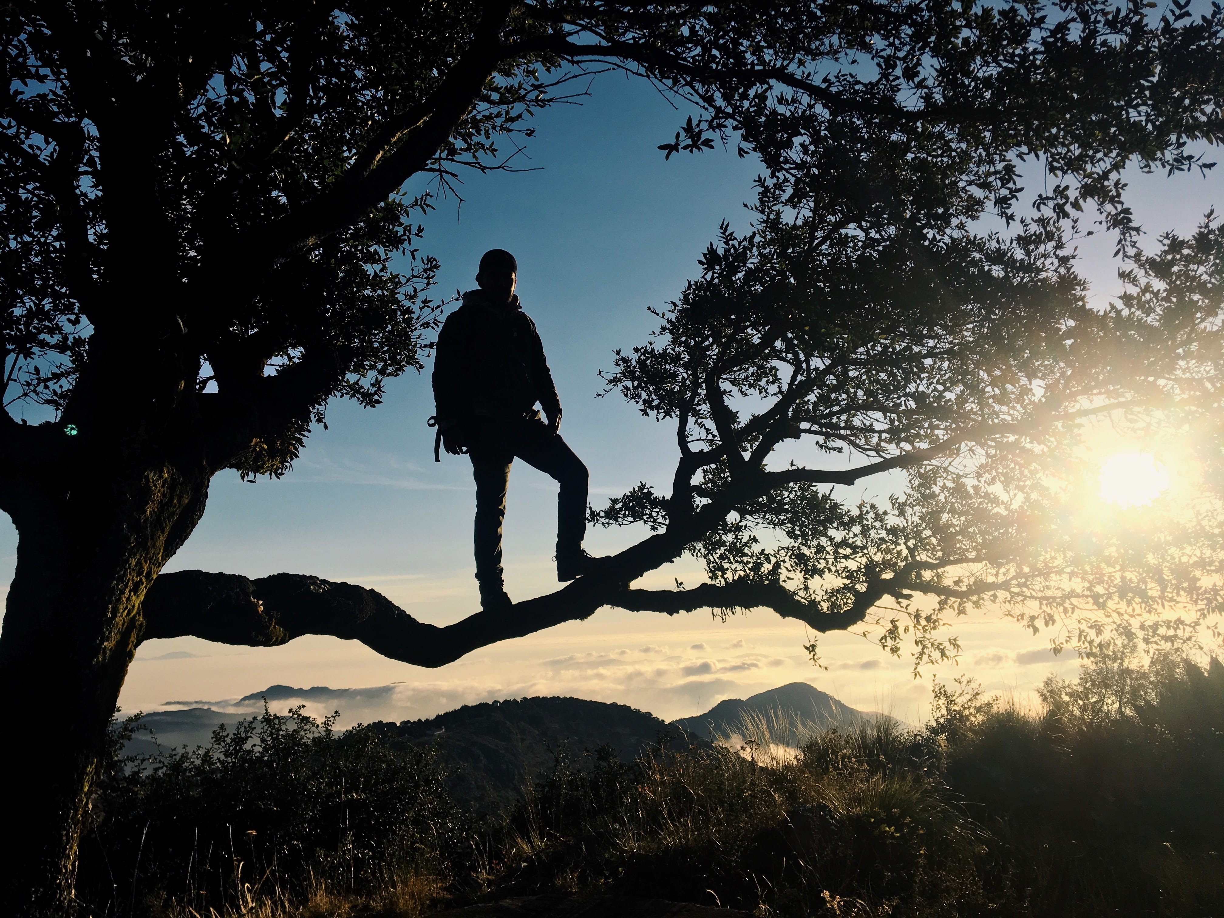 scenics - nature, silhouette, tranquil scene, backlight, outdoors, leisure activity, 4K, shadows, méxico, tree, sunset, growth, sun, lifestyles, full length, HD Wallpaper