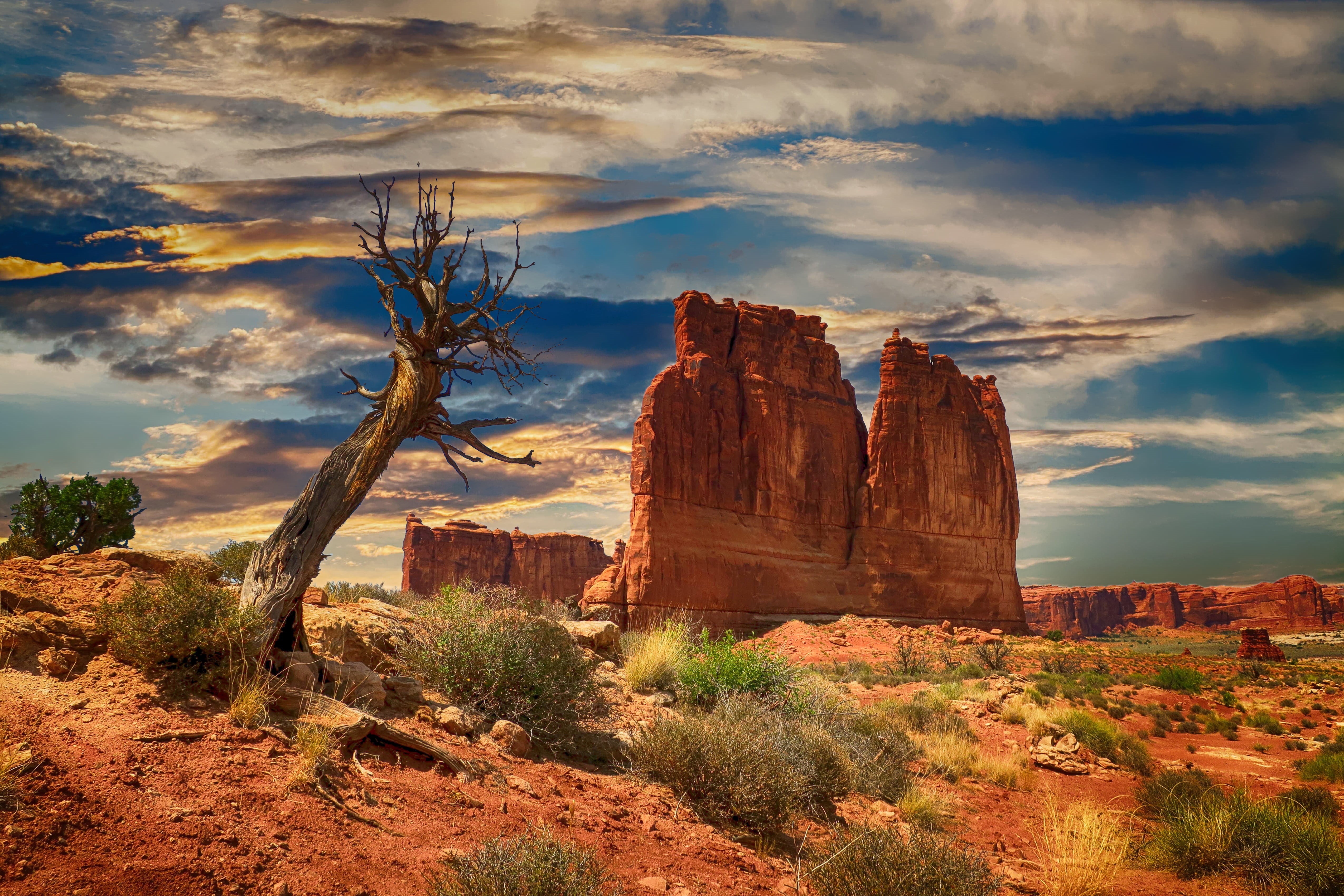 beauty in nature, outdoors, geology, travel, solid, physical geography, national, nature, canyon, grand, rock - object, painting, environment, non-urban scene, HD Wallpaper