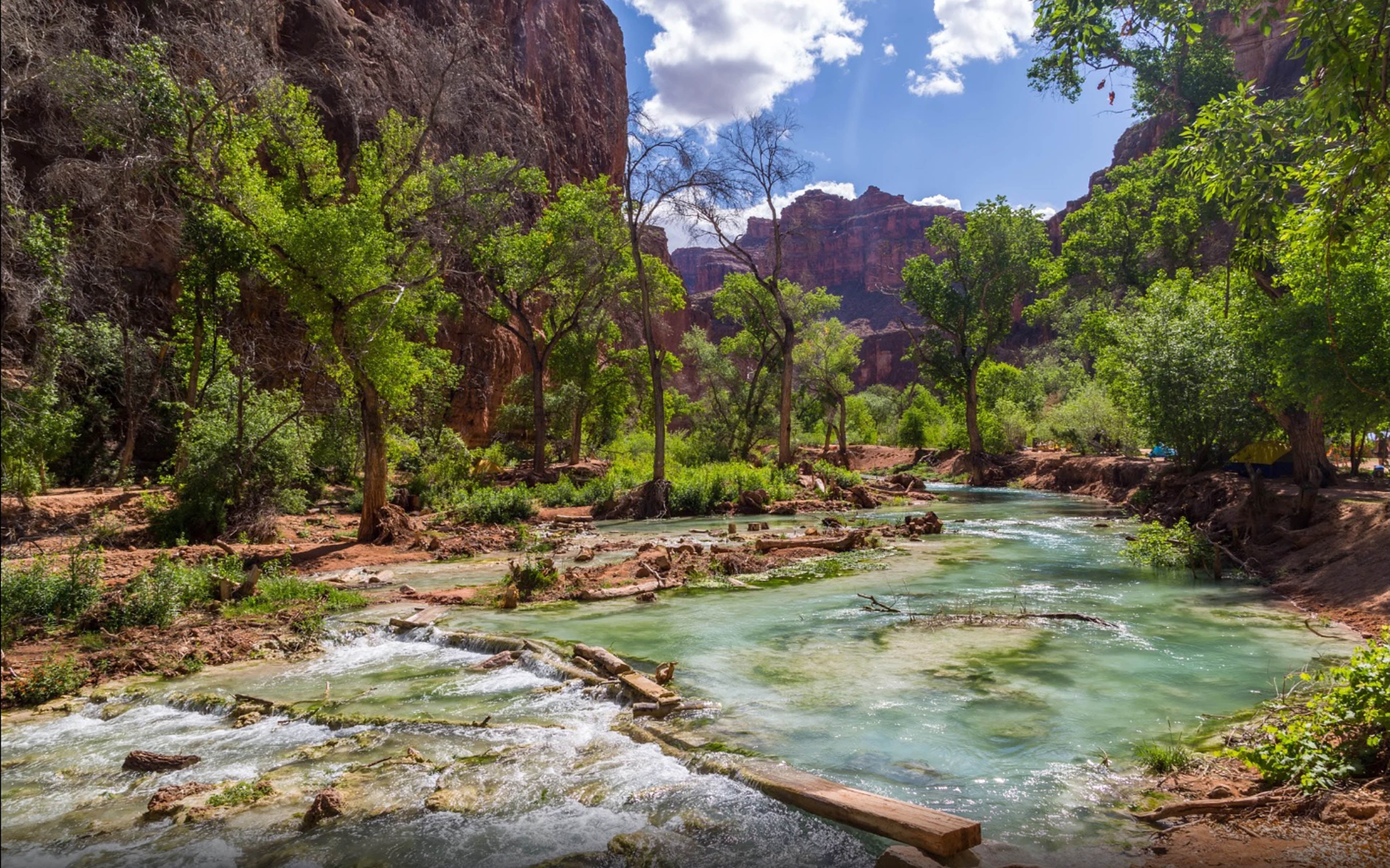 land, united, supai, day, laptops, growth, water, states, falls, mobile, river, nature, cloud - sky, forest, hd, plant, downstream, tranquil scene, idyllic, HD Wallpaper