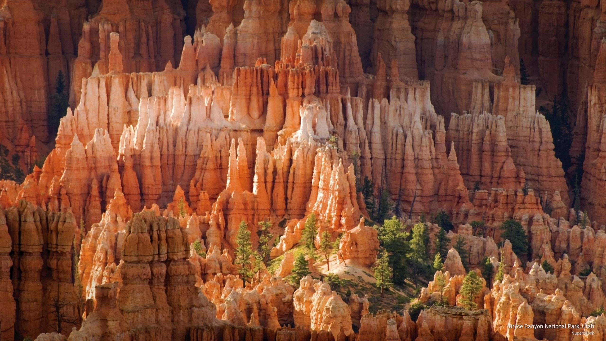 National Parks, canyon, 2K, utah, national, bryce, park, HD Wallpaper