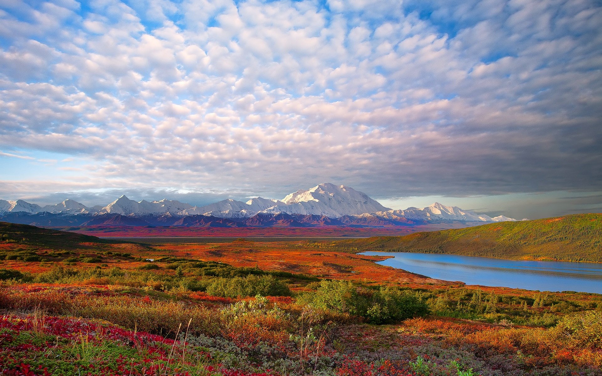 USA, Landscape, 1080P, National, Nature, Denali, Park, HD Wallpaper