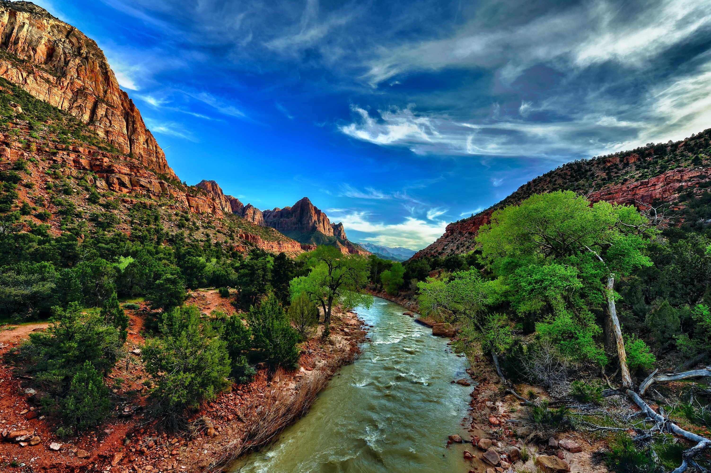 zion, cliffs, river, bushes, park, USA, Utah, gorge, national, Zion National Park, 2K, stones, HD Wallpaper