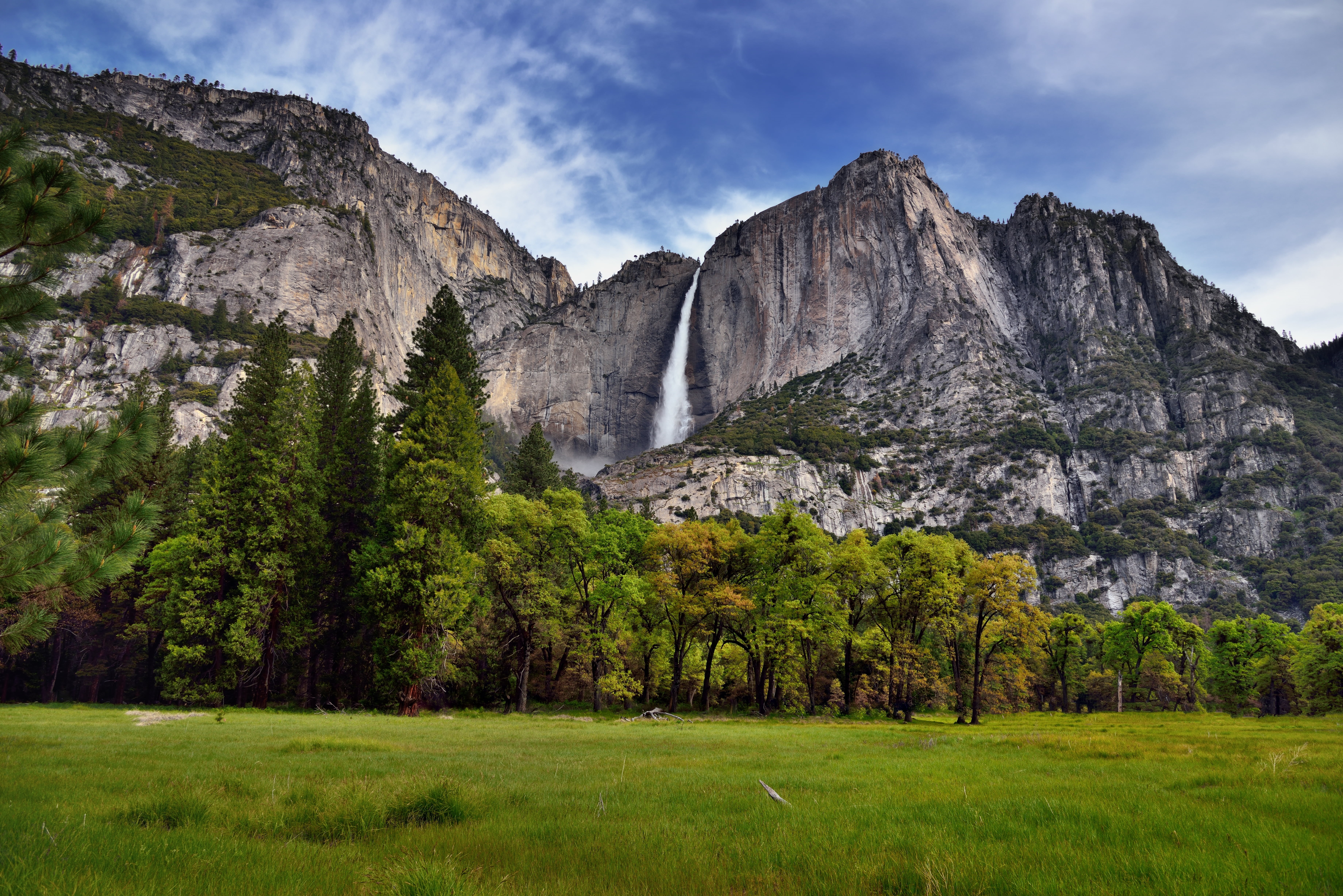 outdoors, Evergreens, Pacific Ranges, tall, Mountainside, Distance, grey, Grassy, Nikon D800E, Yosemite Valley, North, cloudy, national, Trees, NX2, mountain, HD Wallpaper