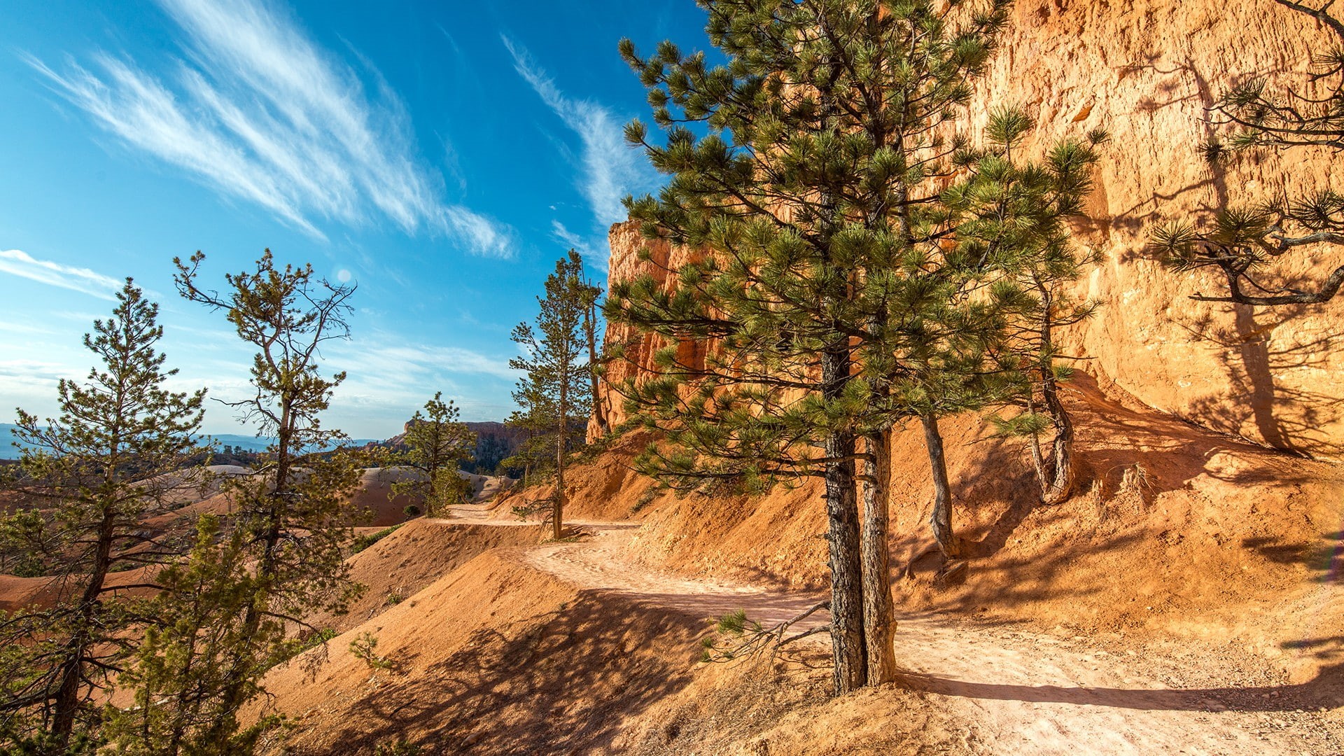 landscape, trees, desert, 1080P, nature, Bryce Canyon National Park, HD Wallpaper