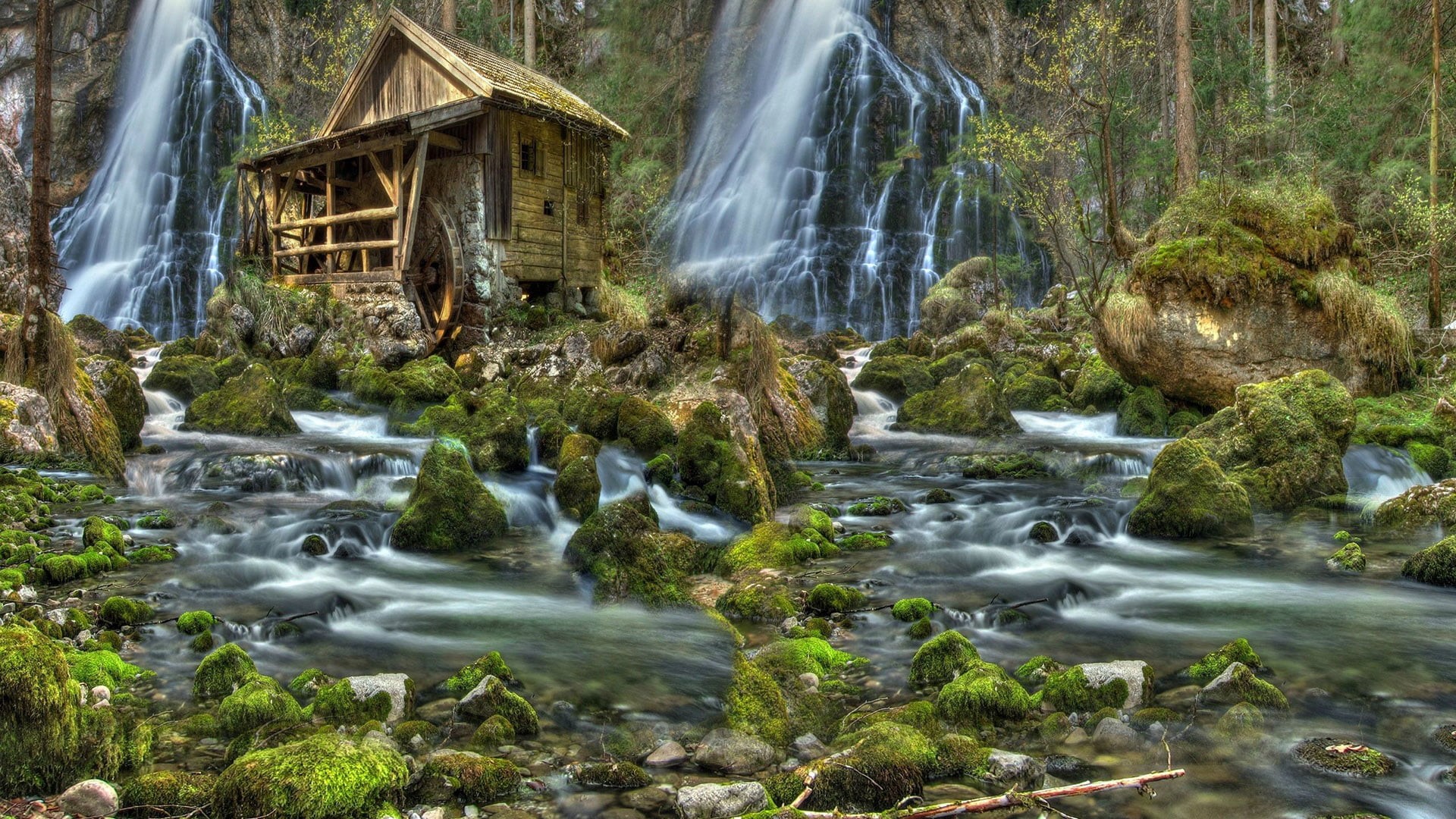 rainforest, peaceful, moss, plant, waterfall, beauty in nature, nature, splash, rocks, spring, power in nature, tourism, wild, natural, outdoors, falling, HD Wallpaper