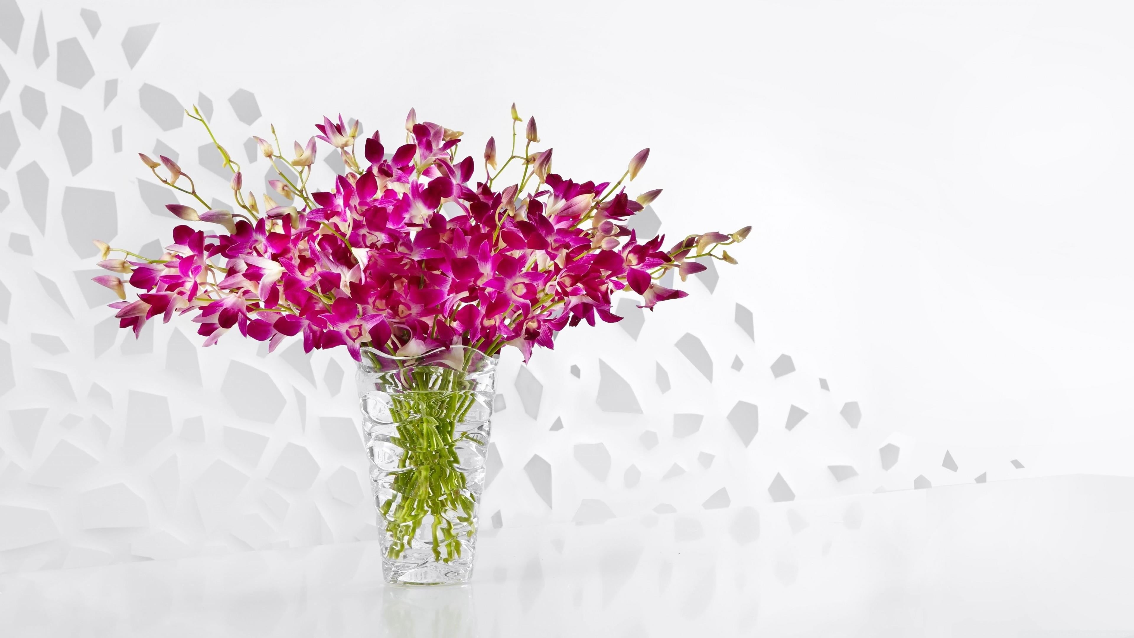flower arrangement, studio shot, orchid, flowering plant, freshness, table, floral design, flora, plant, pink flower, orchids, flower head, 4K, fragility, HD Wallpaper