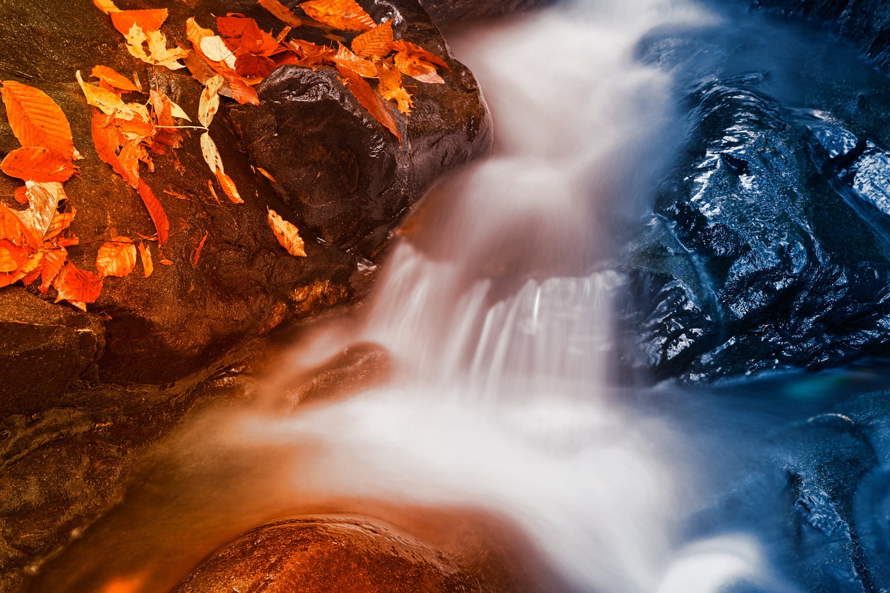 colorful, epic, surreal, water, united states, seasonal, beautiful, dreamy, orange, Stream, outdoors, patapsco valley state park, ca, season, beauty In Nature, HD Wallpaper