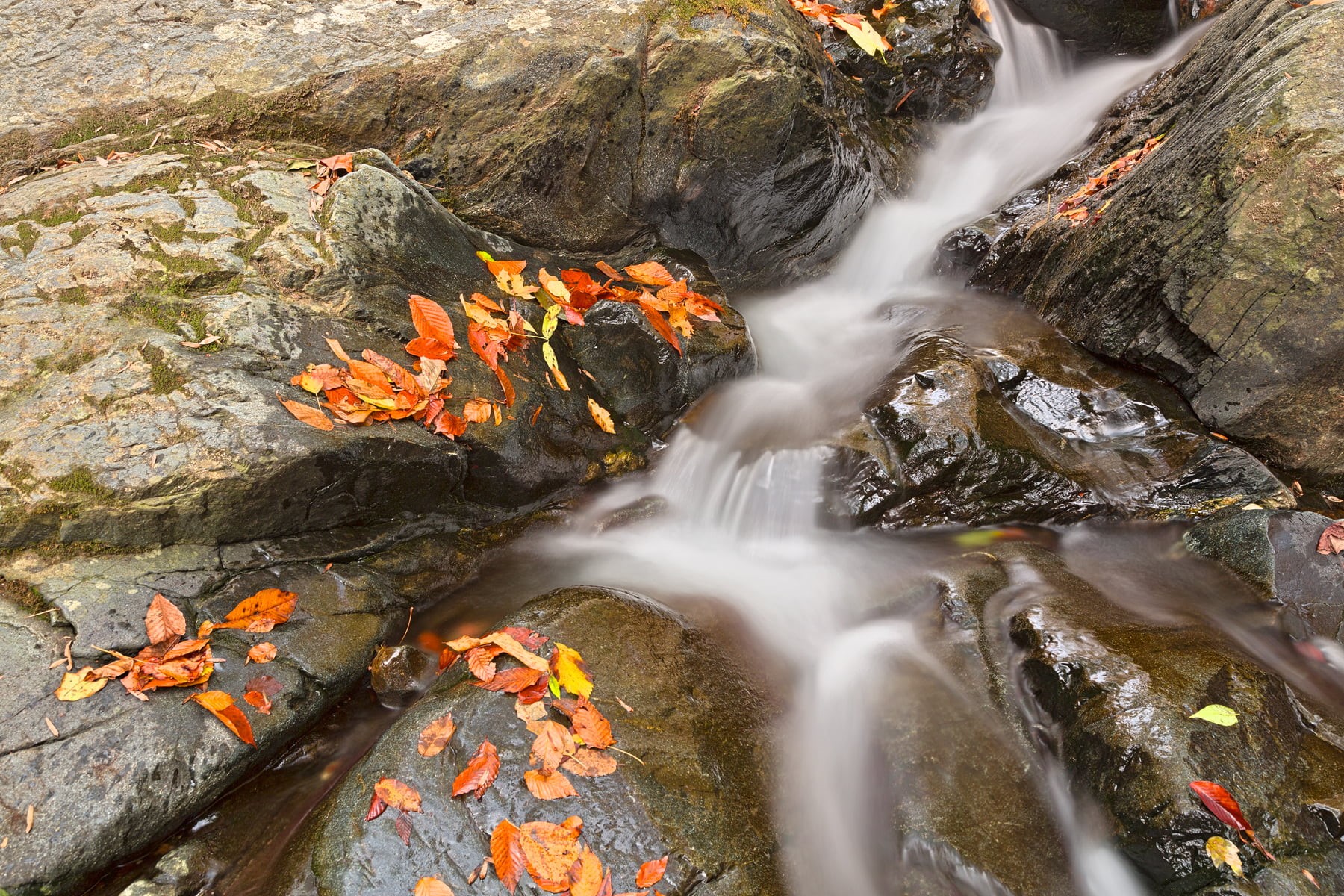 picture, united  states, ca, river, water flow, fall, rock, motion, epic, movement, touristic, dreamy, waterscape, patapsco  valley  state  park, scenic, HD Wallpaper