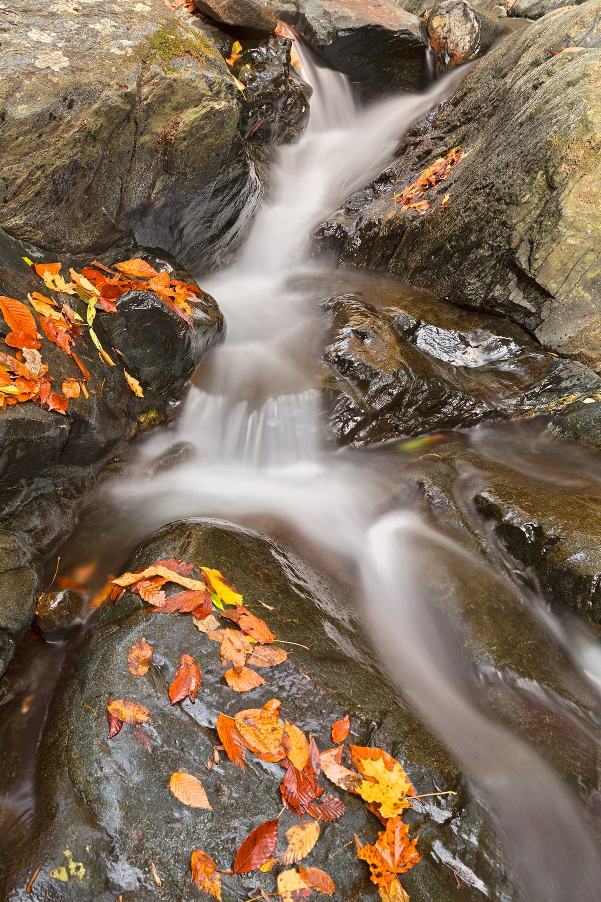 photo, usa, picture, ca, scenery, america, outside, colorful, leaves, scene, stock, motion, stones, rock - Object, beautiful, soft, landscape, patapsco  valley  state  park, Phone HD Wallpaper