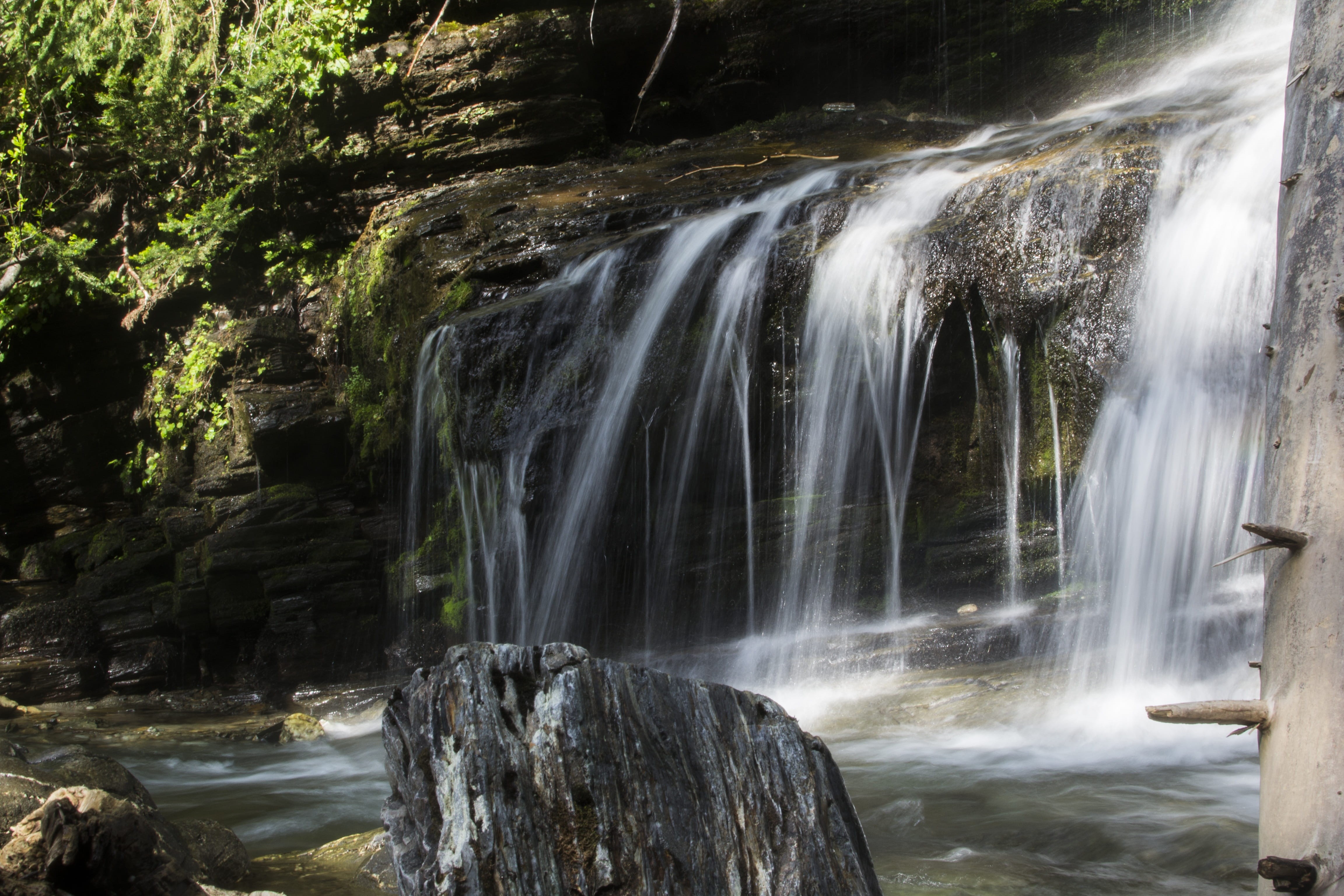 plants, no people, time, canada, natural, green, freshness, stone, reflect, environment, creek, Waterfall, tropical, forest, fresh, pass, tree, caribou, HD Wallpaper